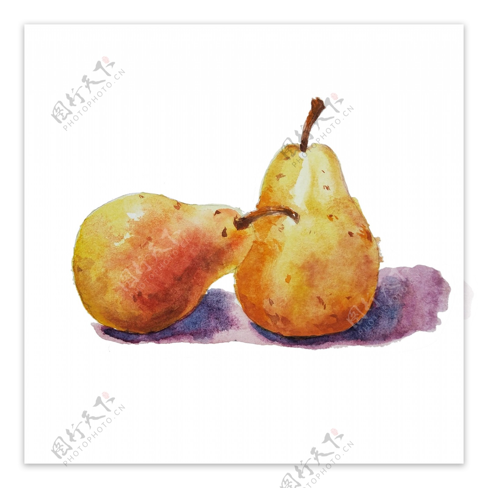 手绘卡通水彩水果梨