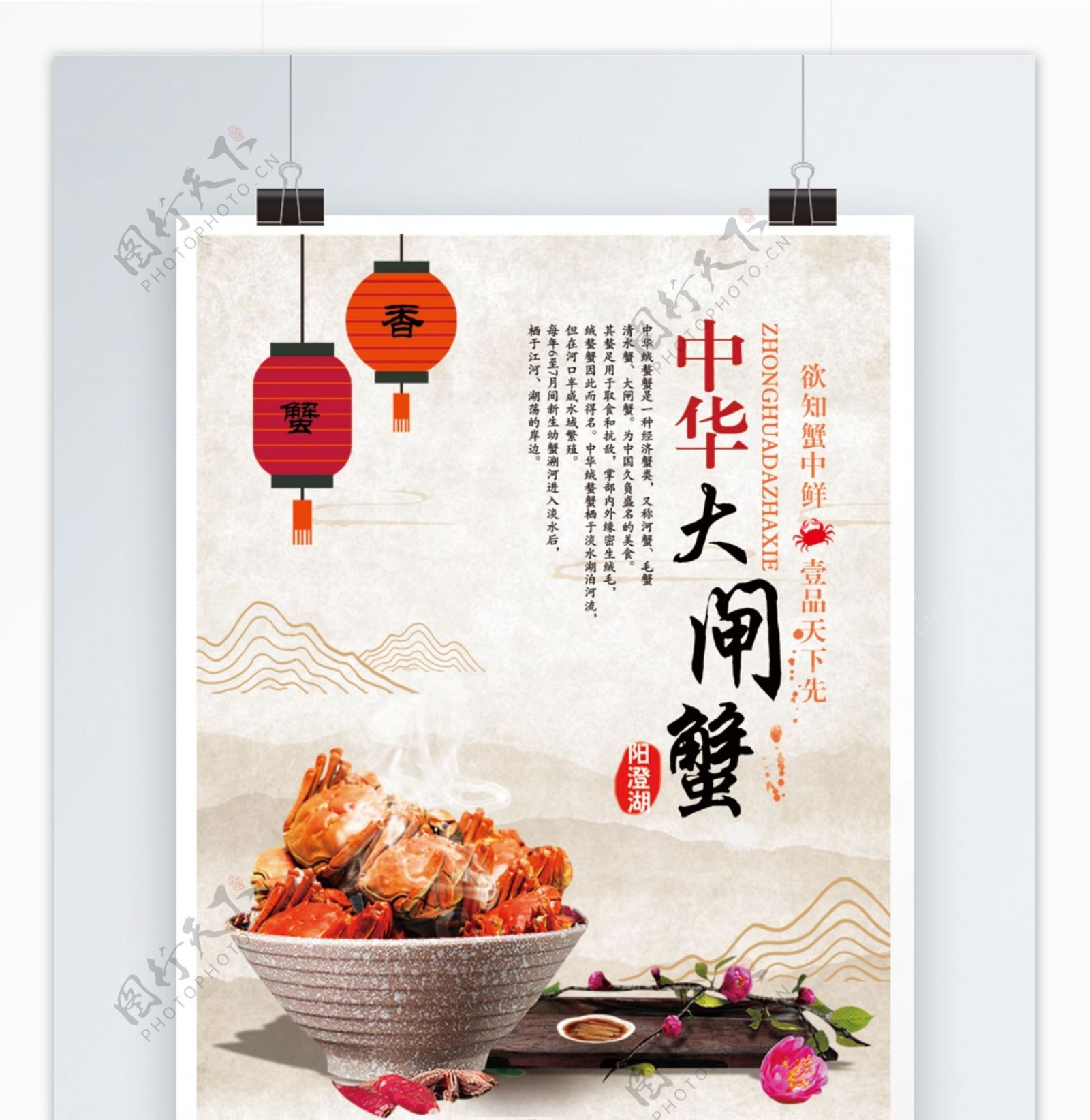 中华大闸蟹美食宣传广告海报