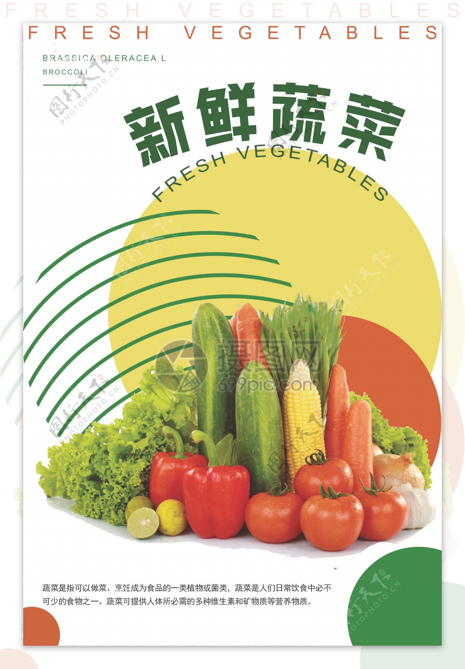 现代创意色彩新鲜绿色蔬菜海报设计