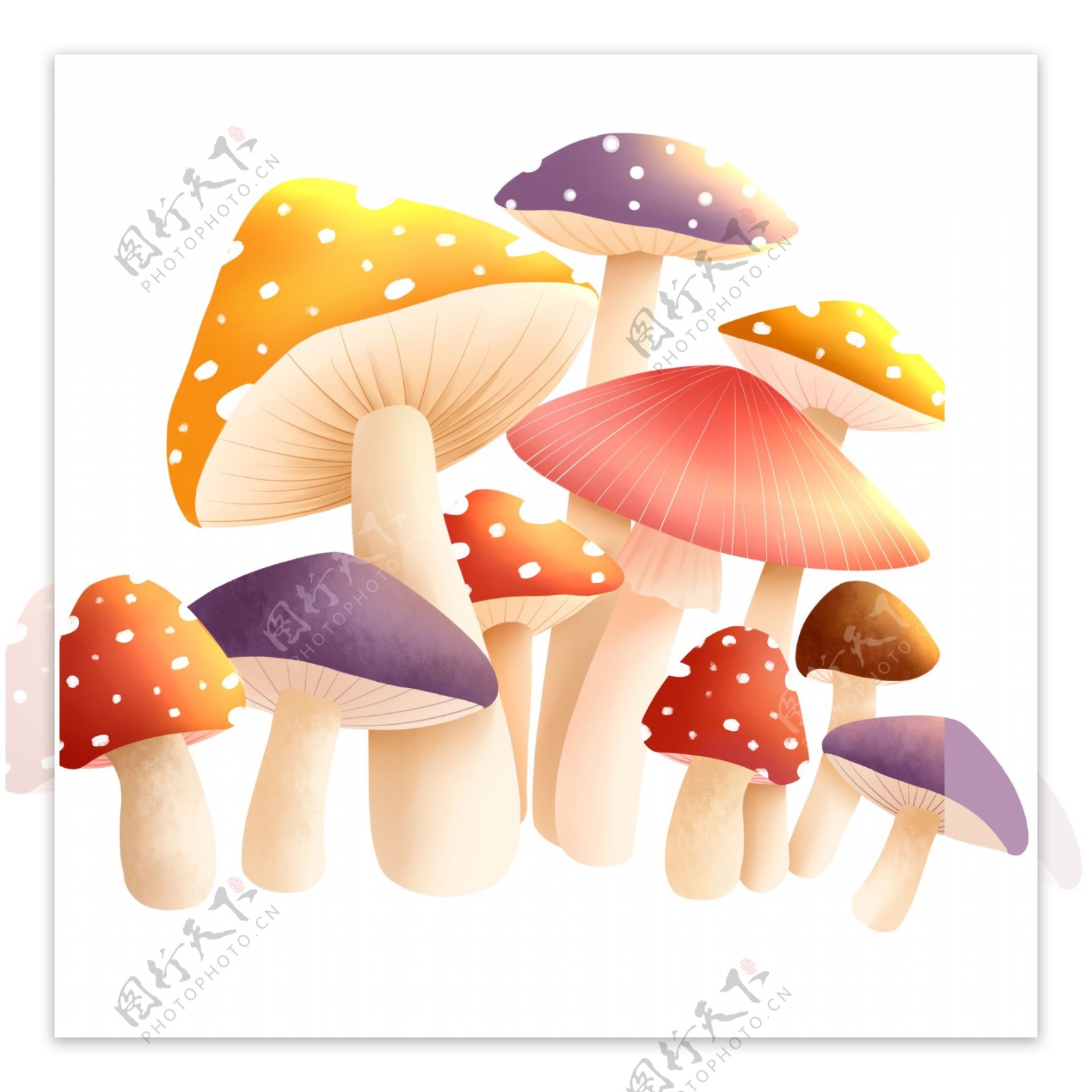 清新彩色蘑菇元素手绘设计