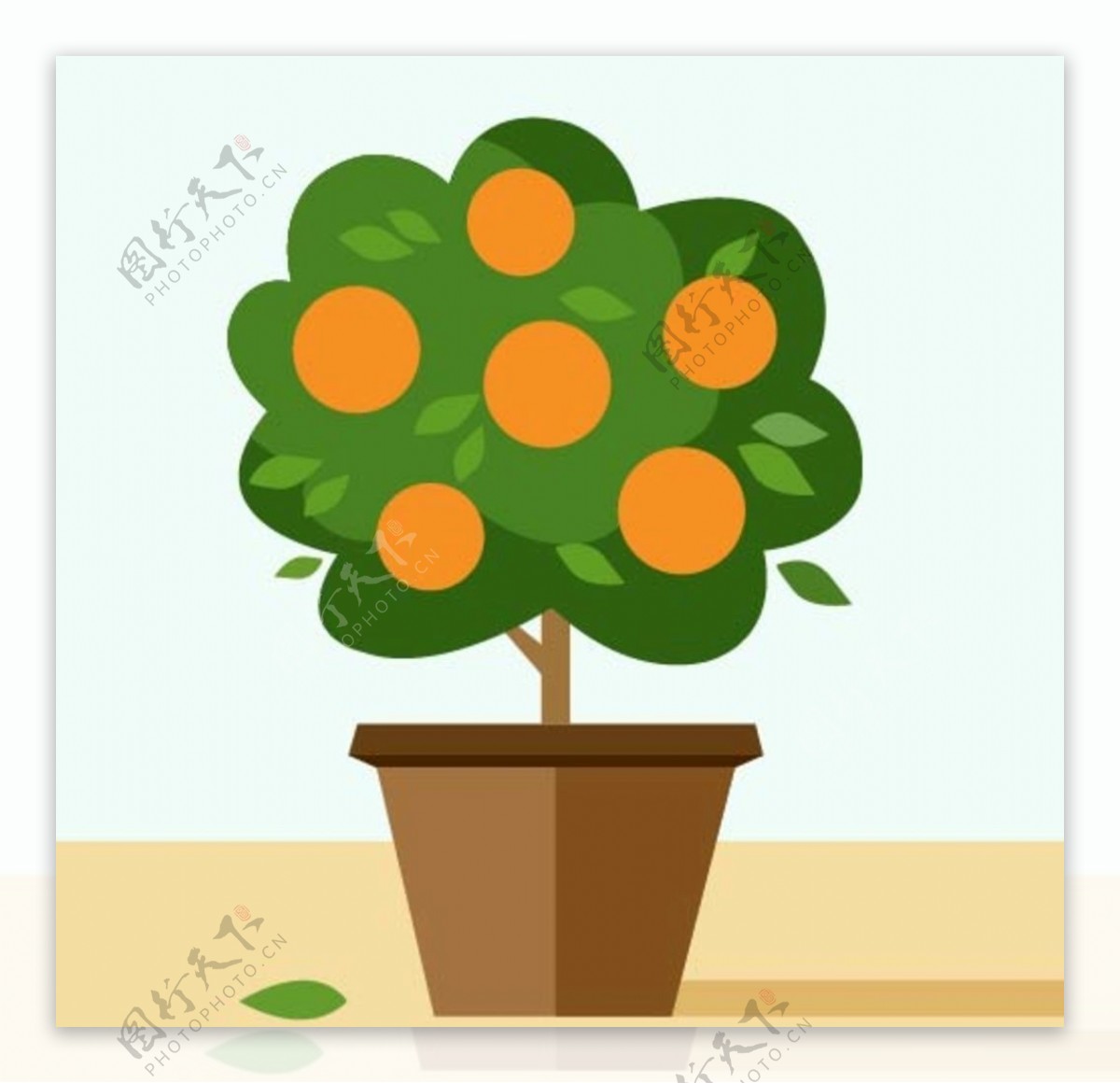 扁平化树木橘子树植物盆