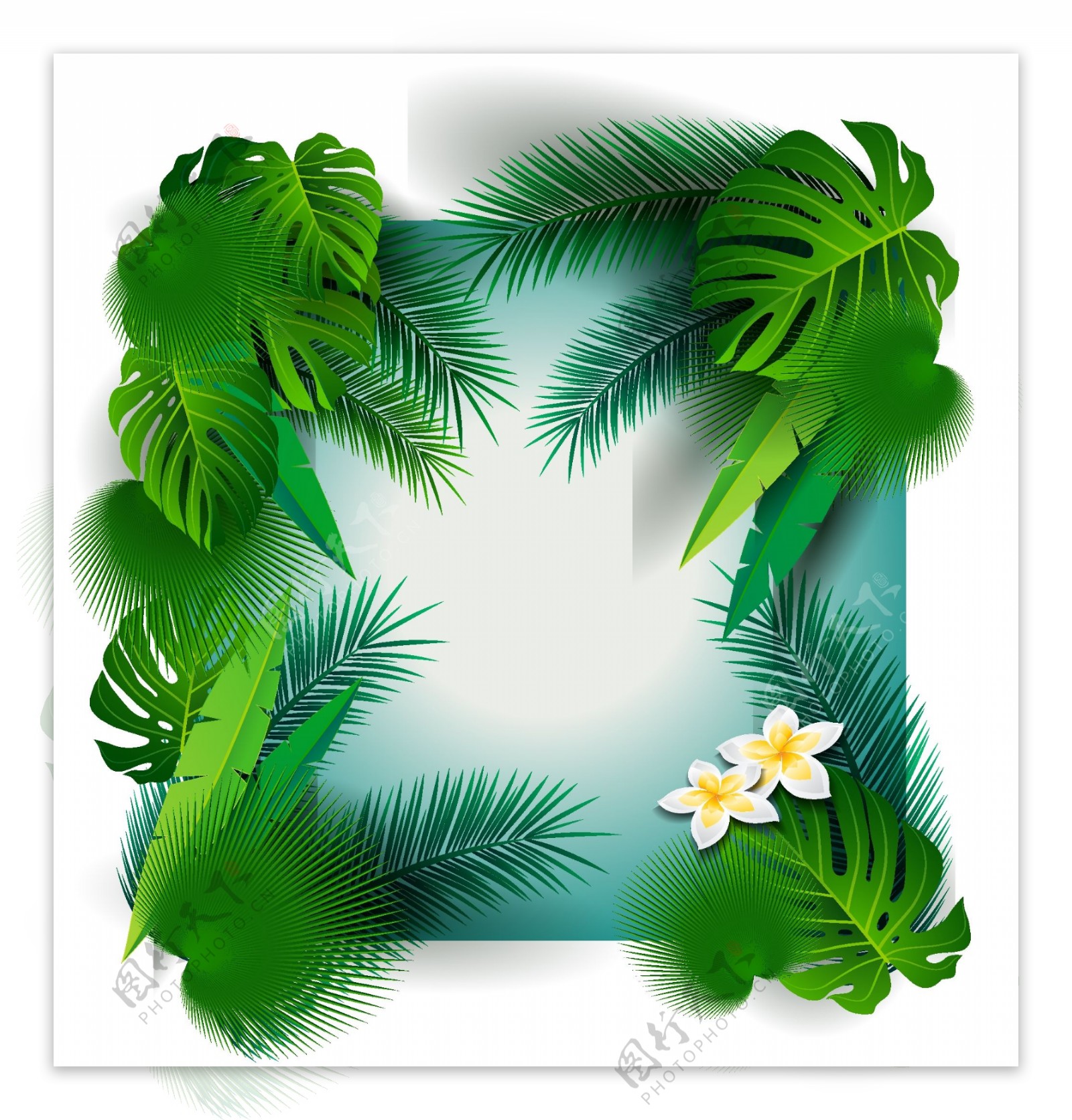 夏季热带棕榈树叶框架矢量素材