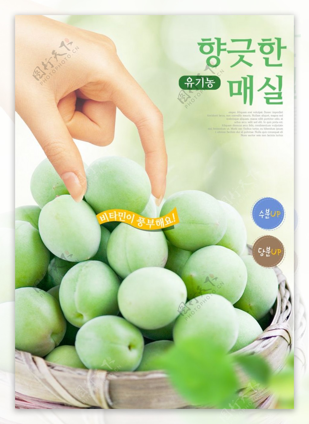 绿色食品海报