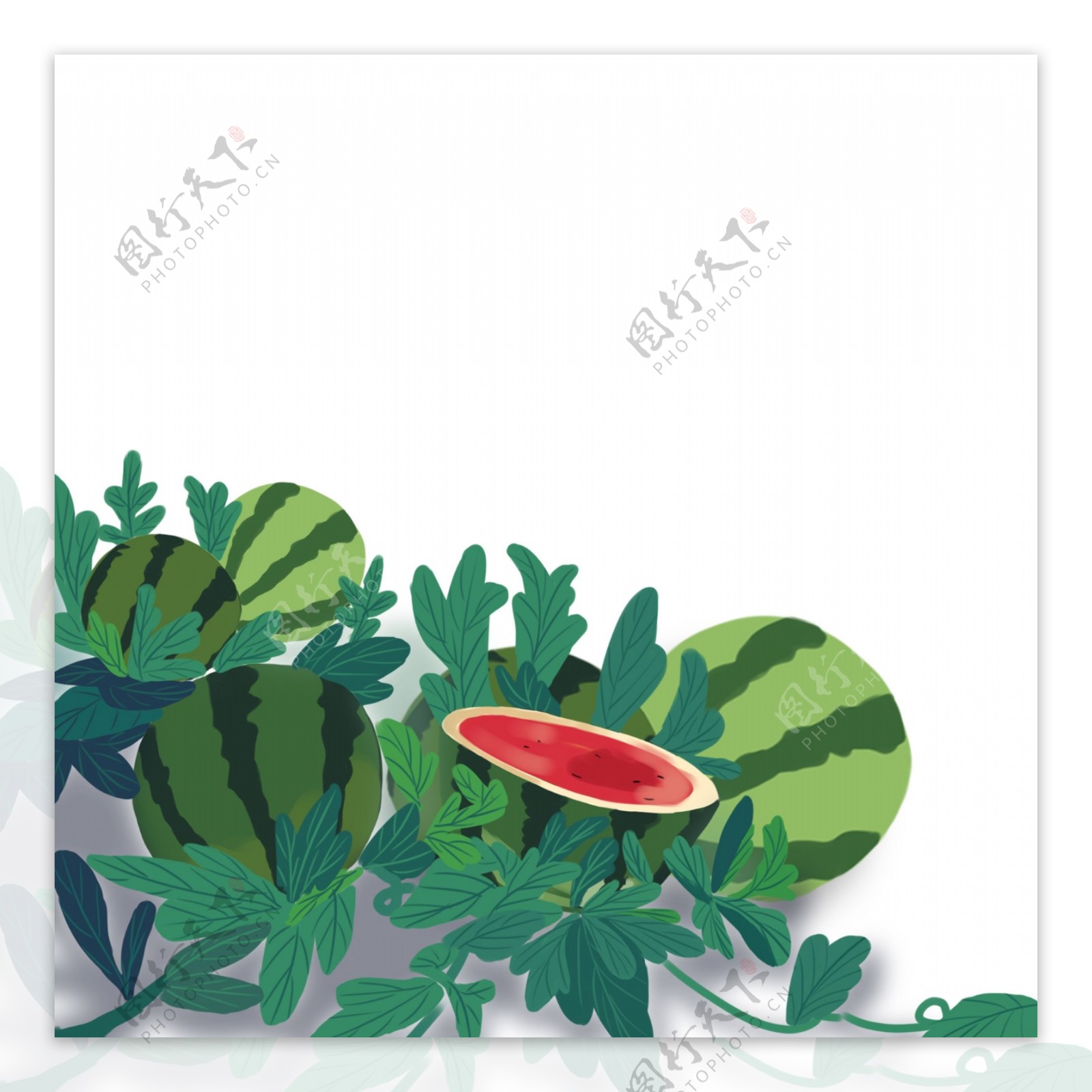 西瓜地装饰图案植物