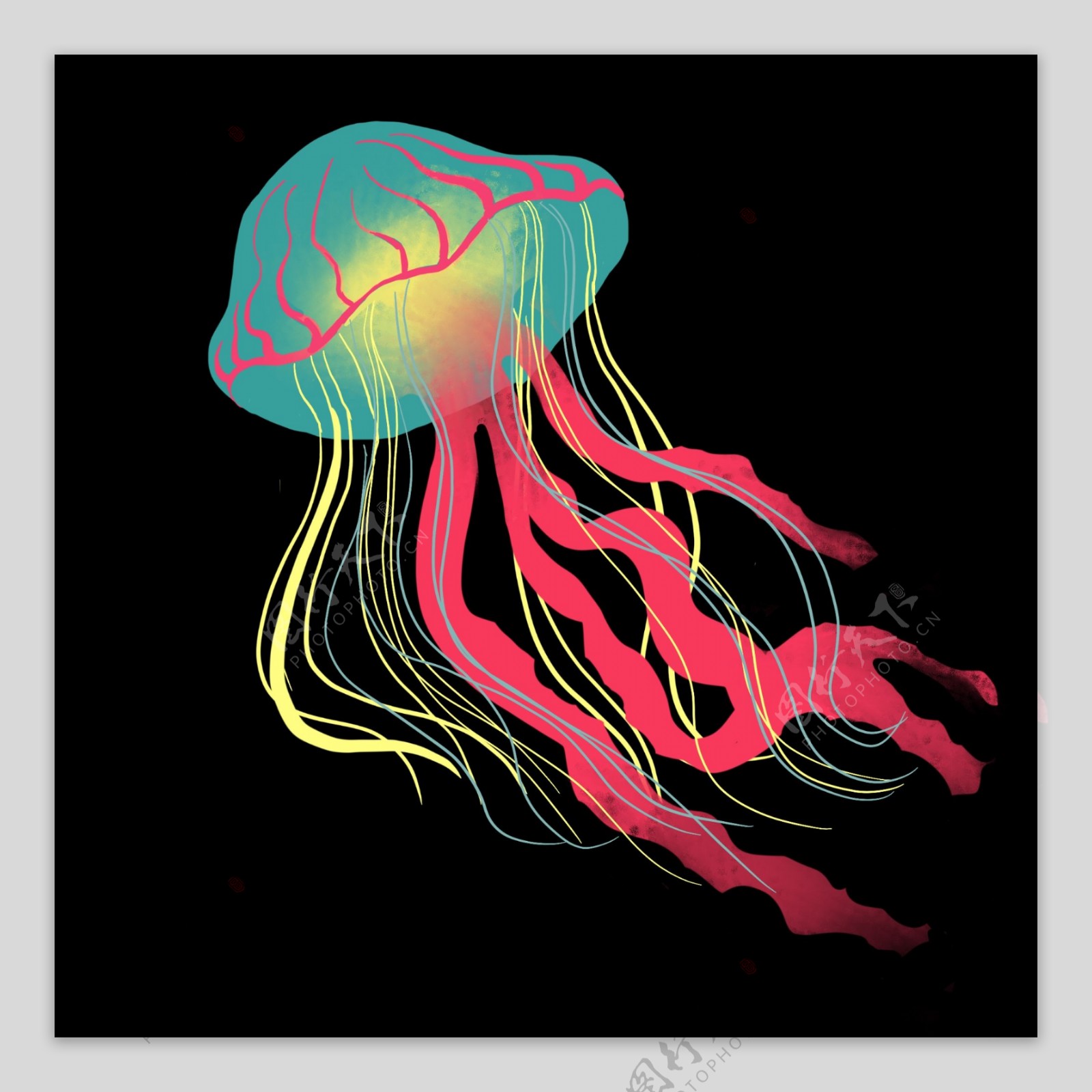 彩色海洋水母