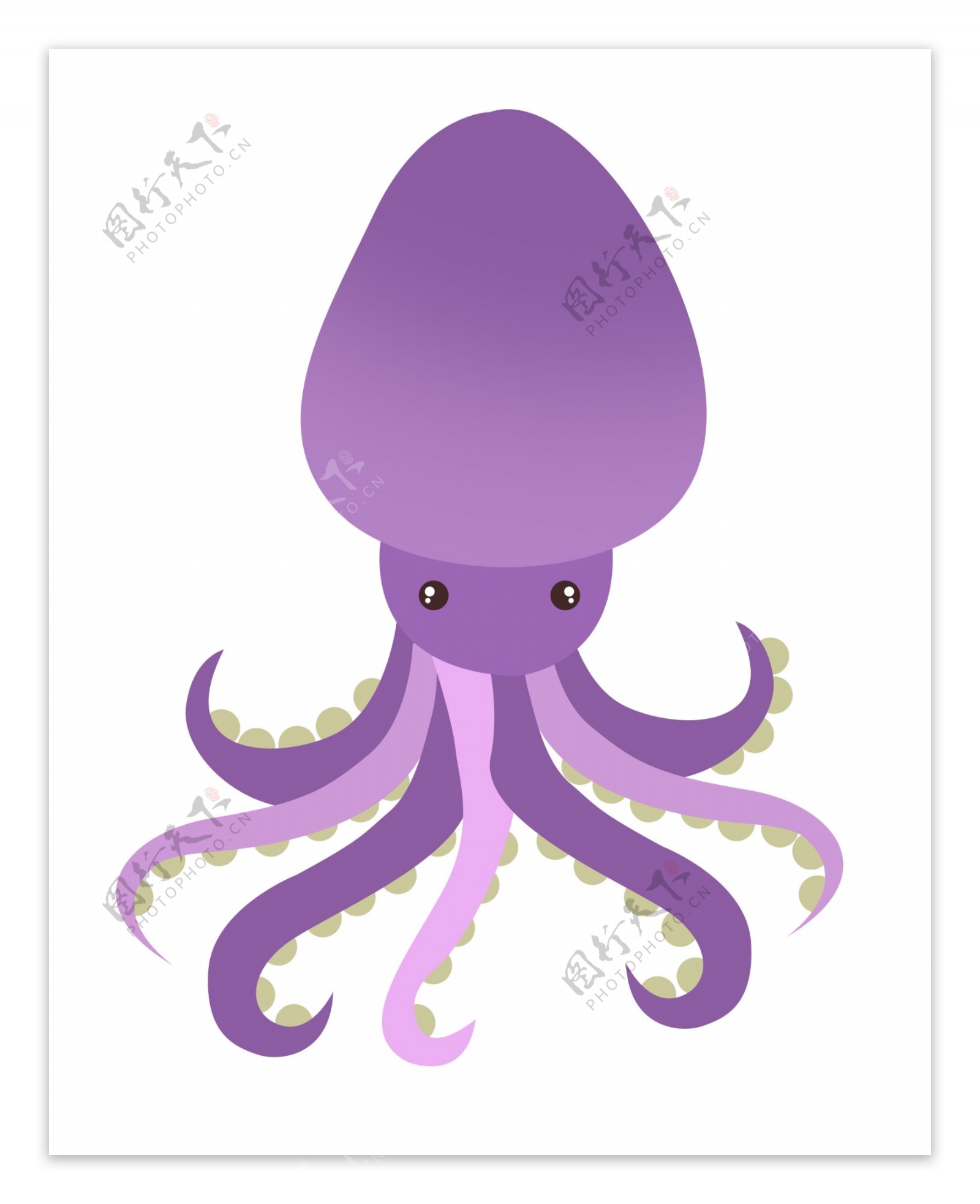 紫色海洋生物章鱼