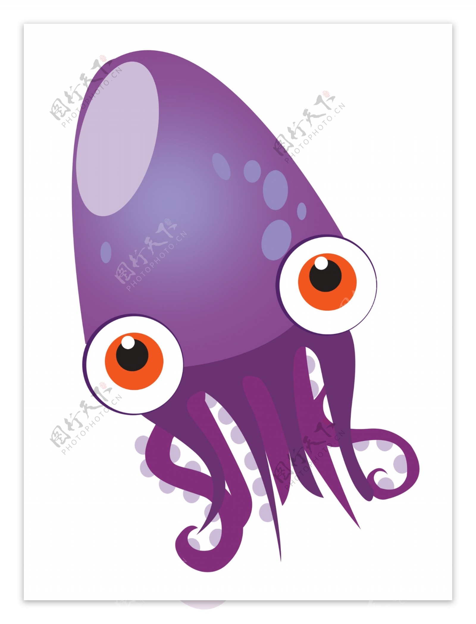 紫色动物鱿鱼