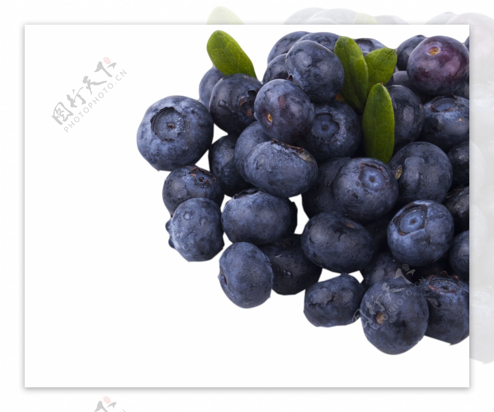 饭后水果蓝莓好吃