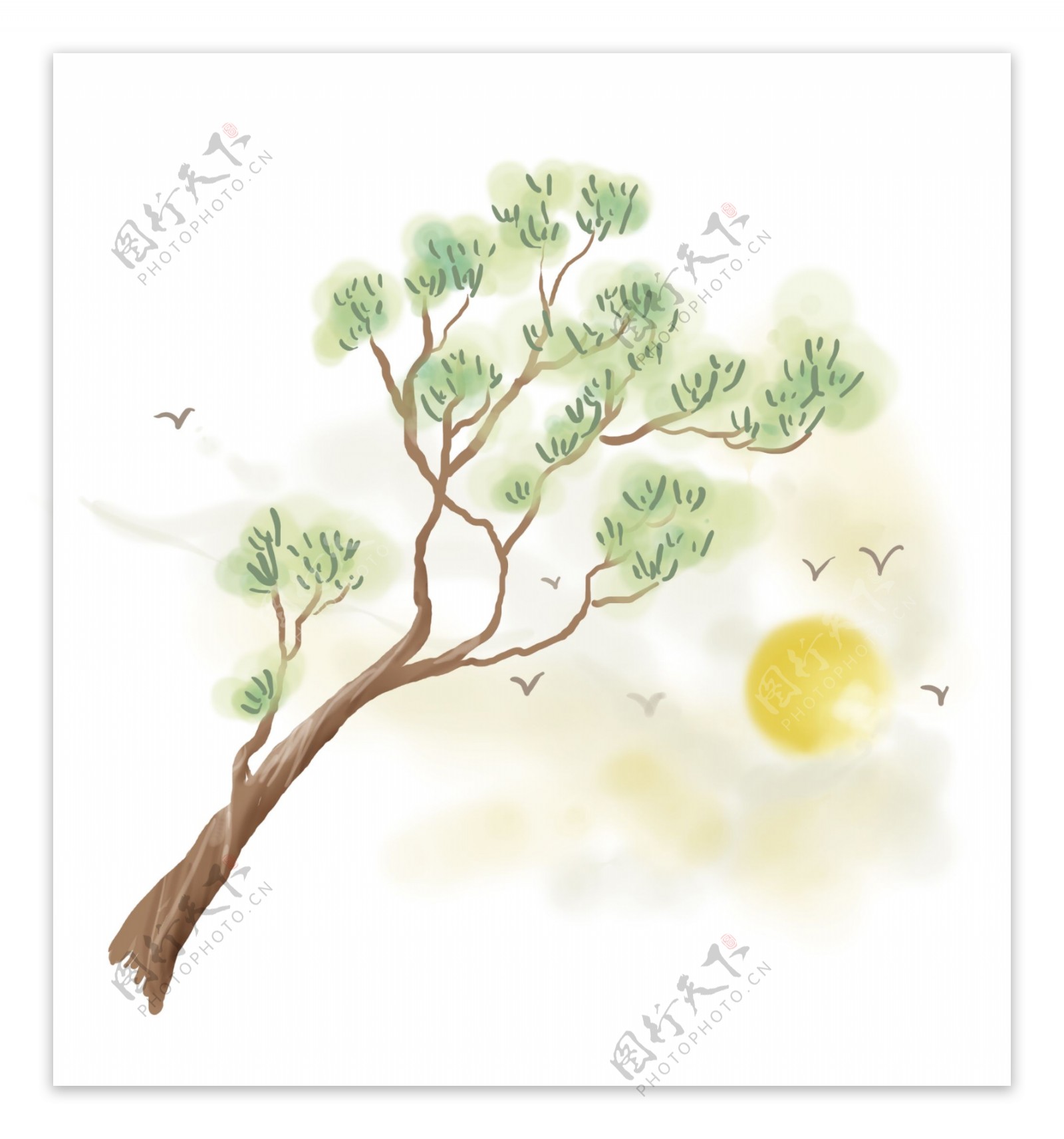 松树和太阳飞鸟