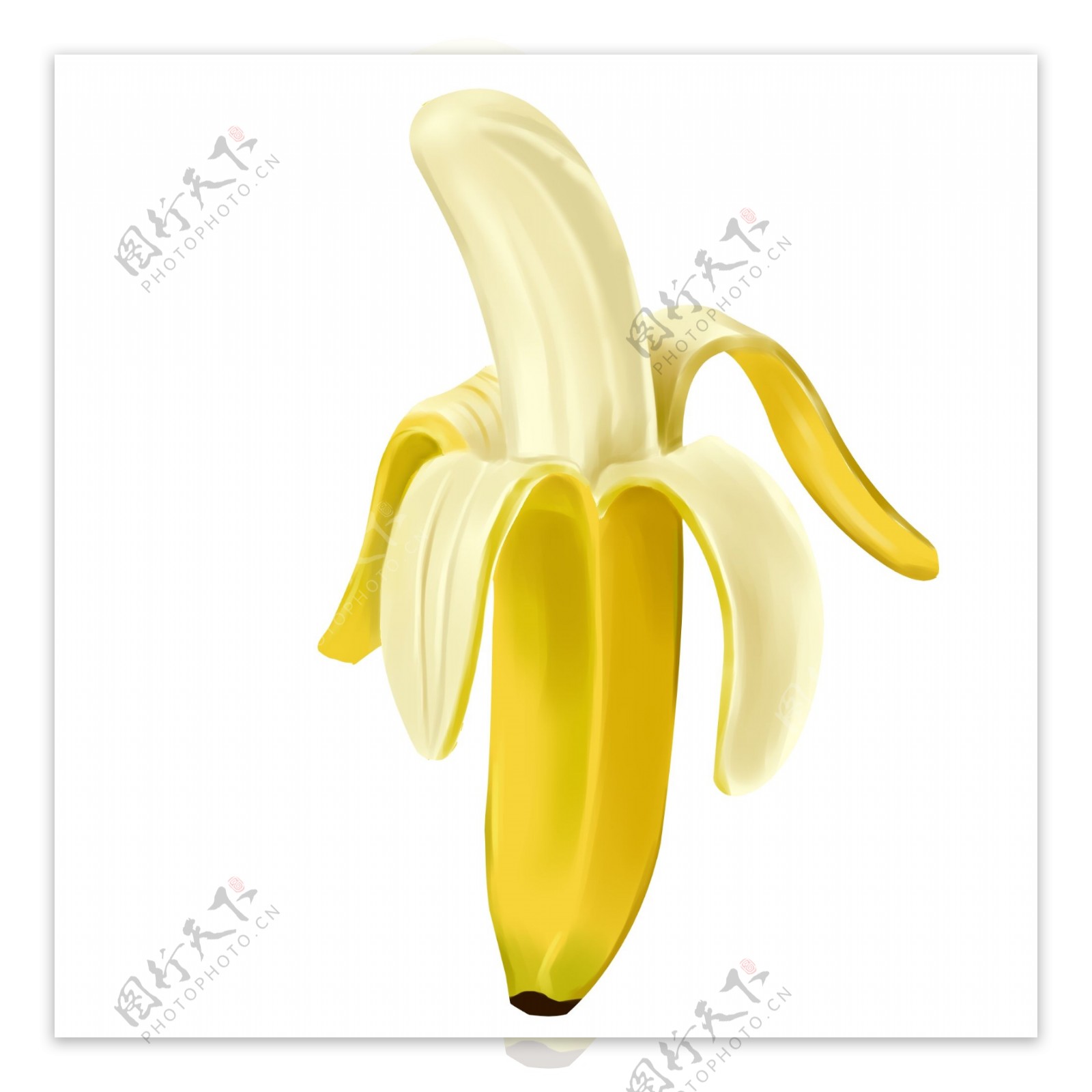 一根剥开的香蕉插图