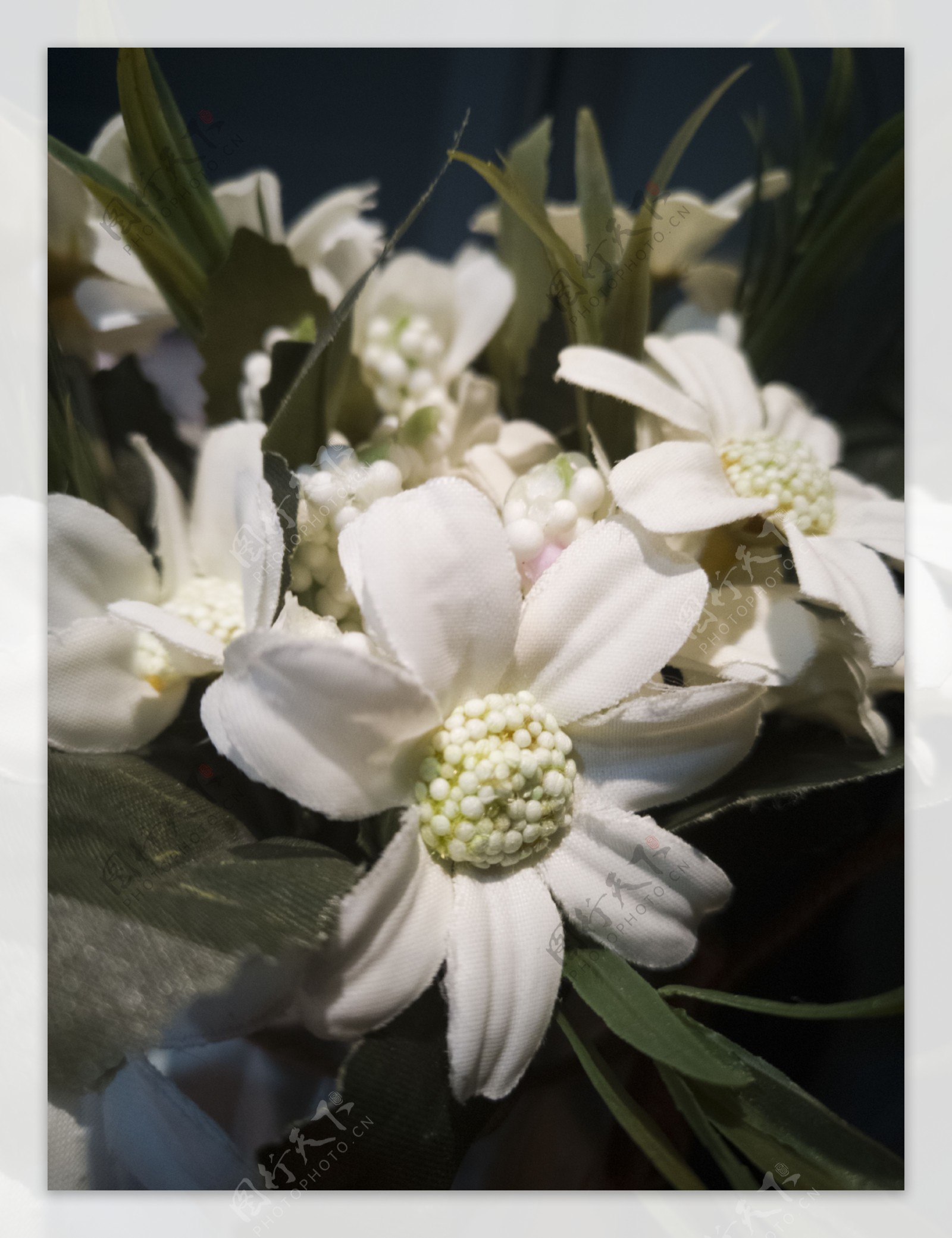 盛开的白色小花花蕊细节图