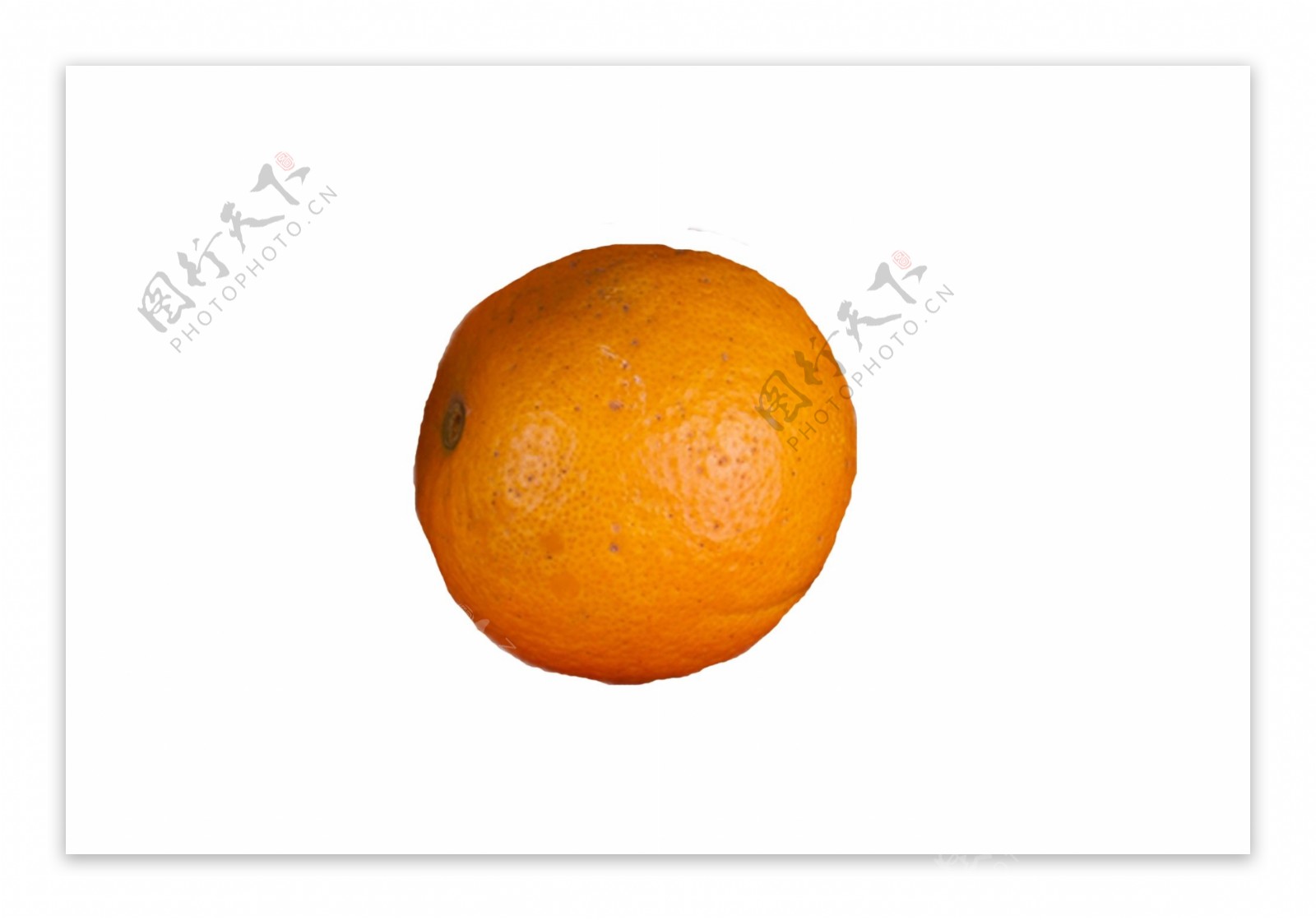 好吃美味营养橙子