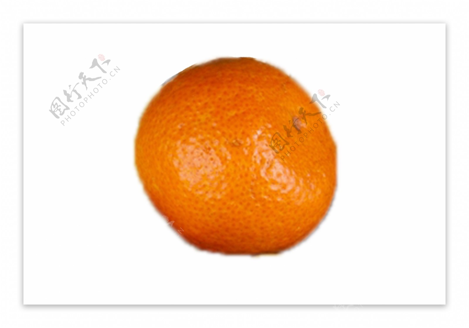 一个新鲜美味的橘子