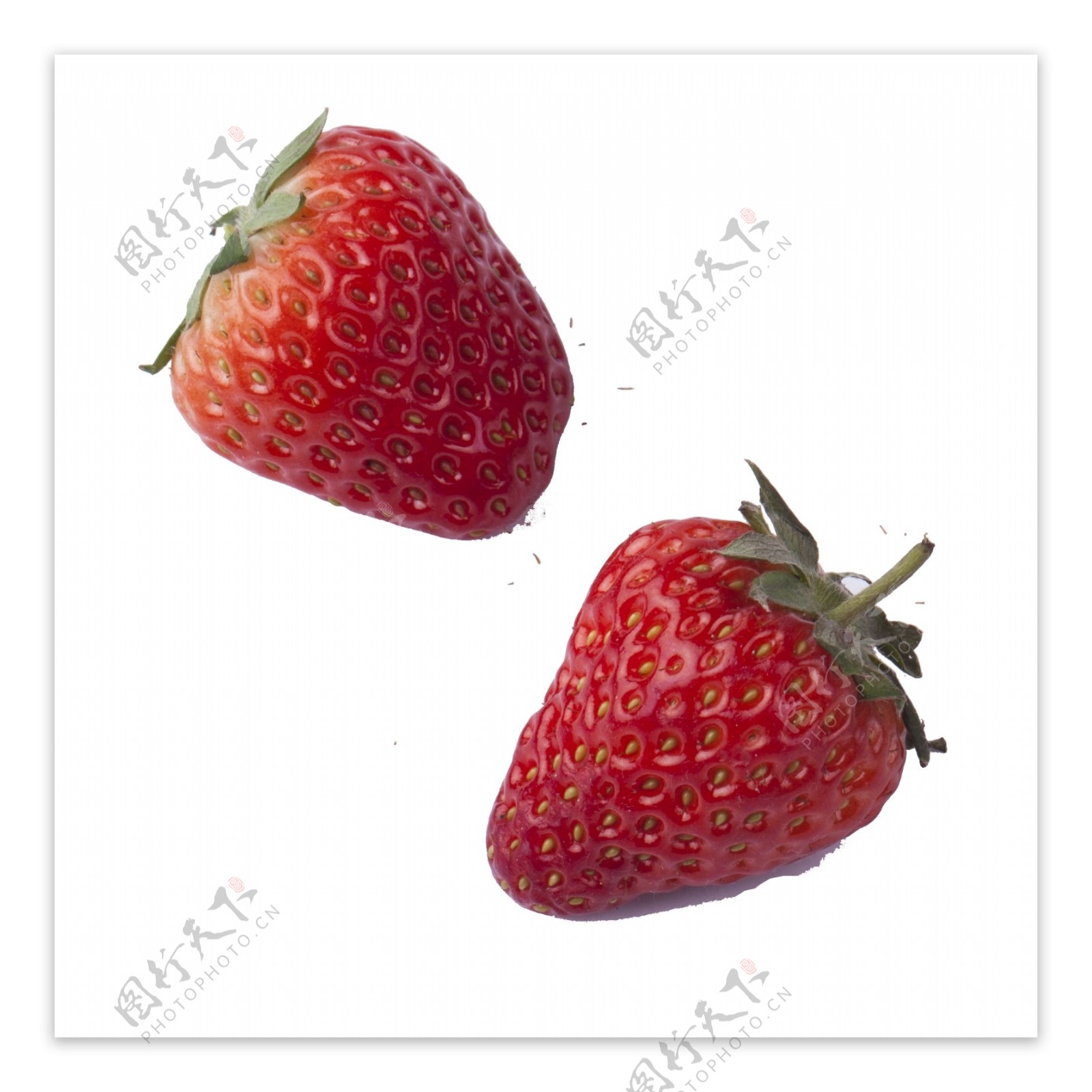 二个红色的草莓免抠图