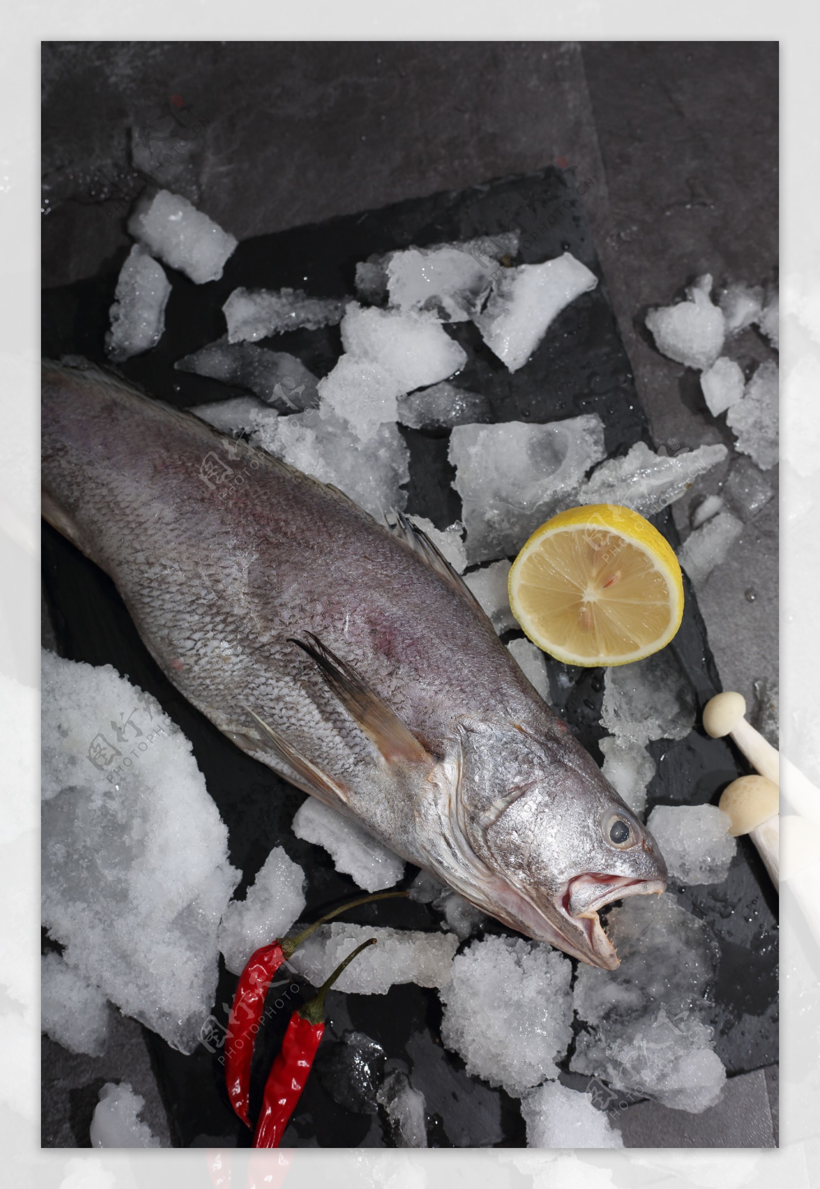 海鲜食物海鲜类食品17