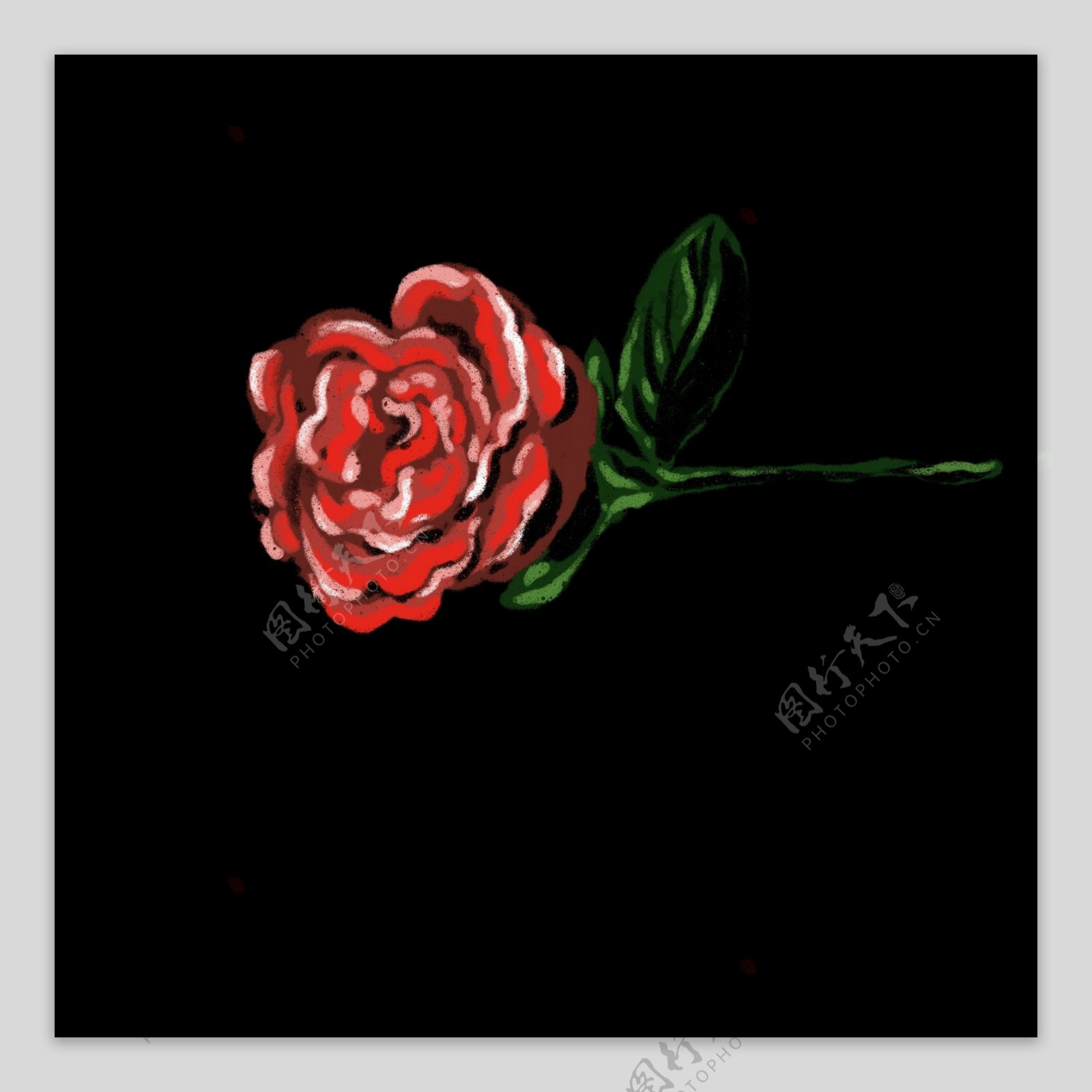 卡通红色玫瑰花插图