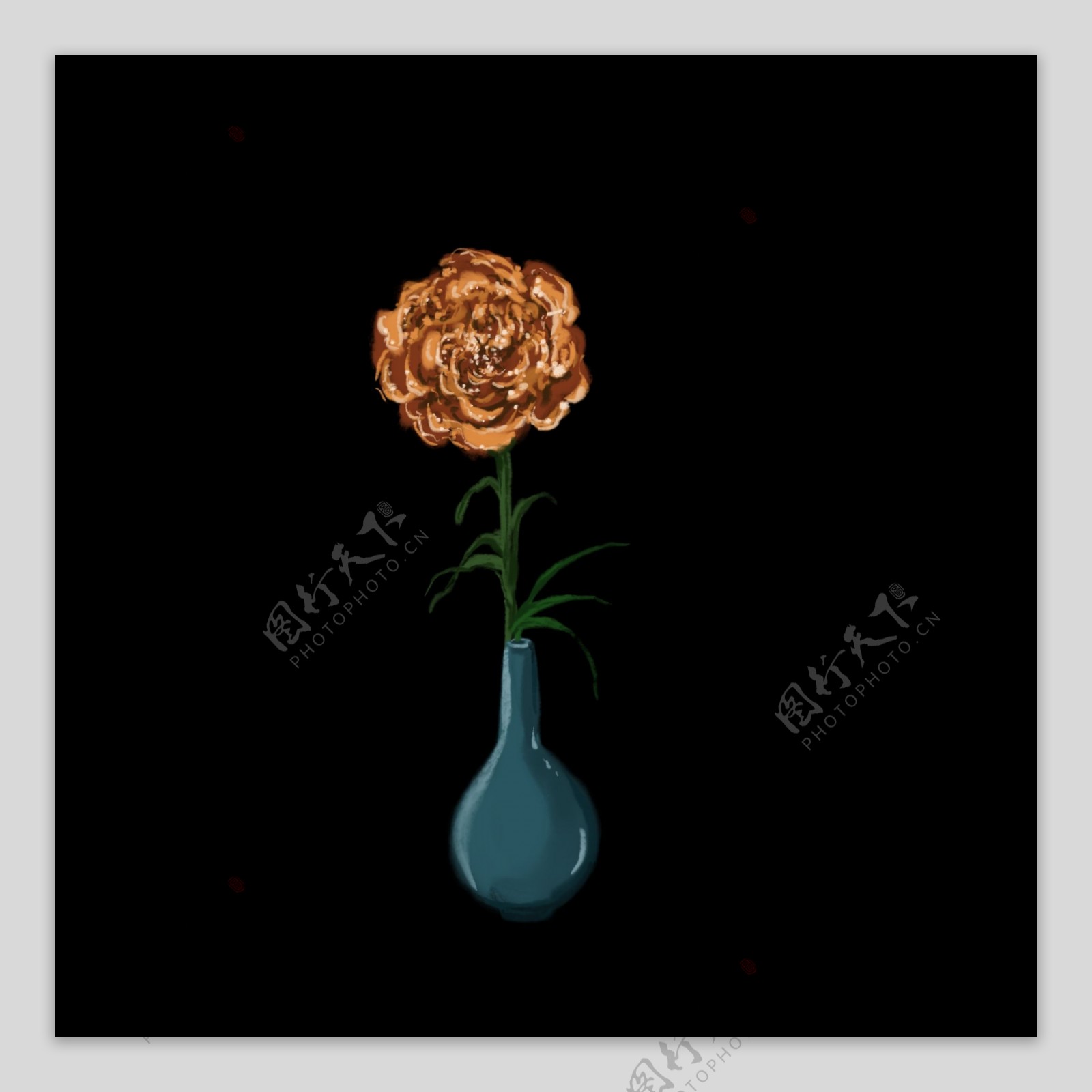 插在花瓶的花插图