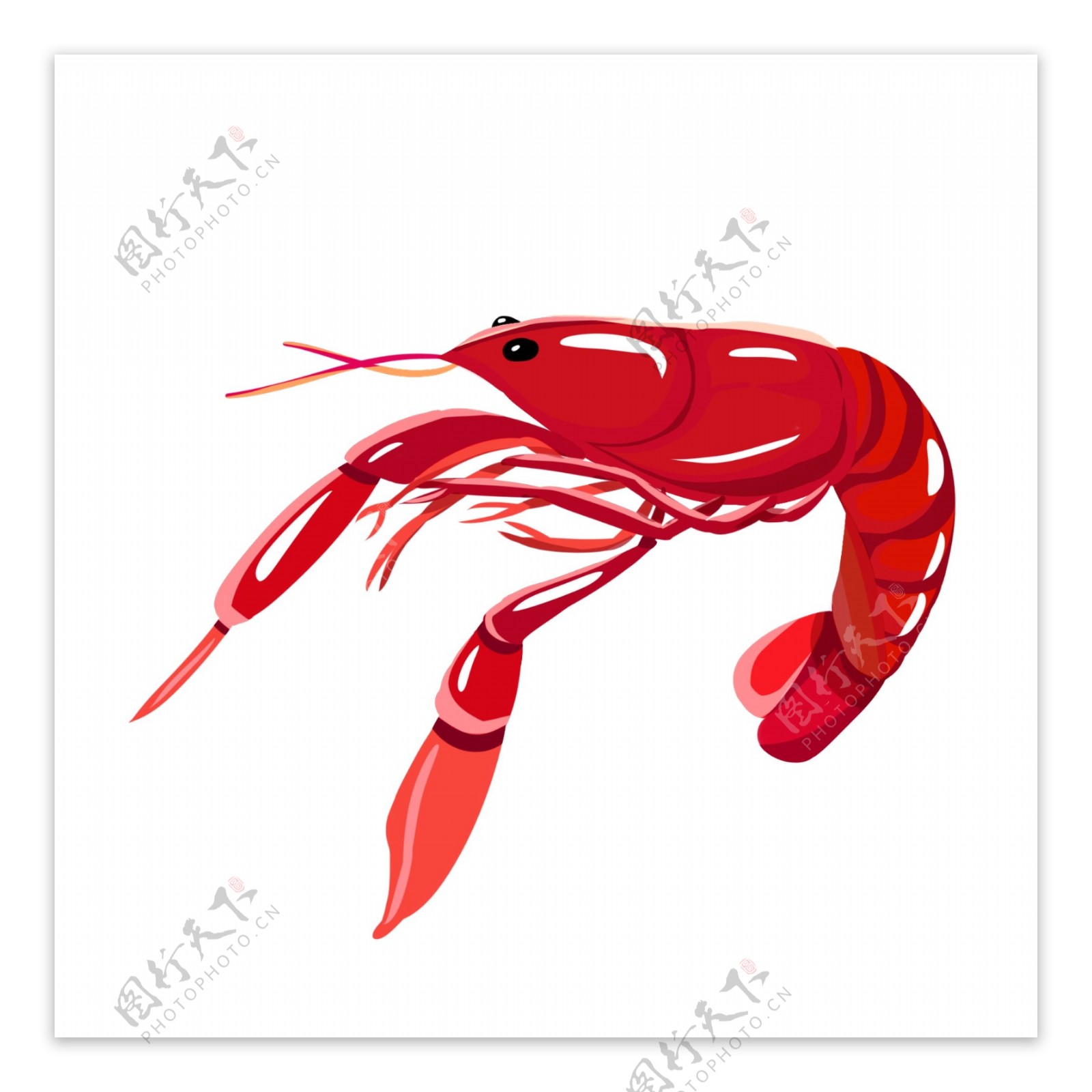 红色动物龙虾插画