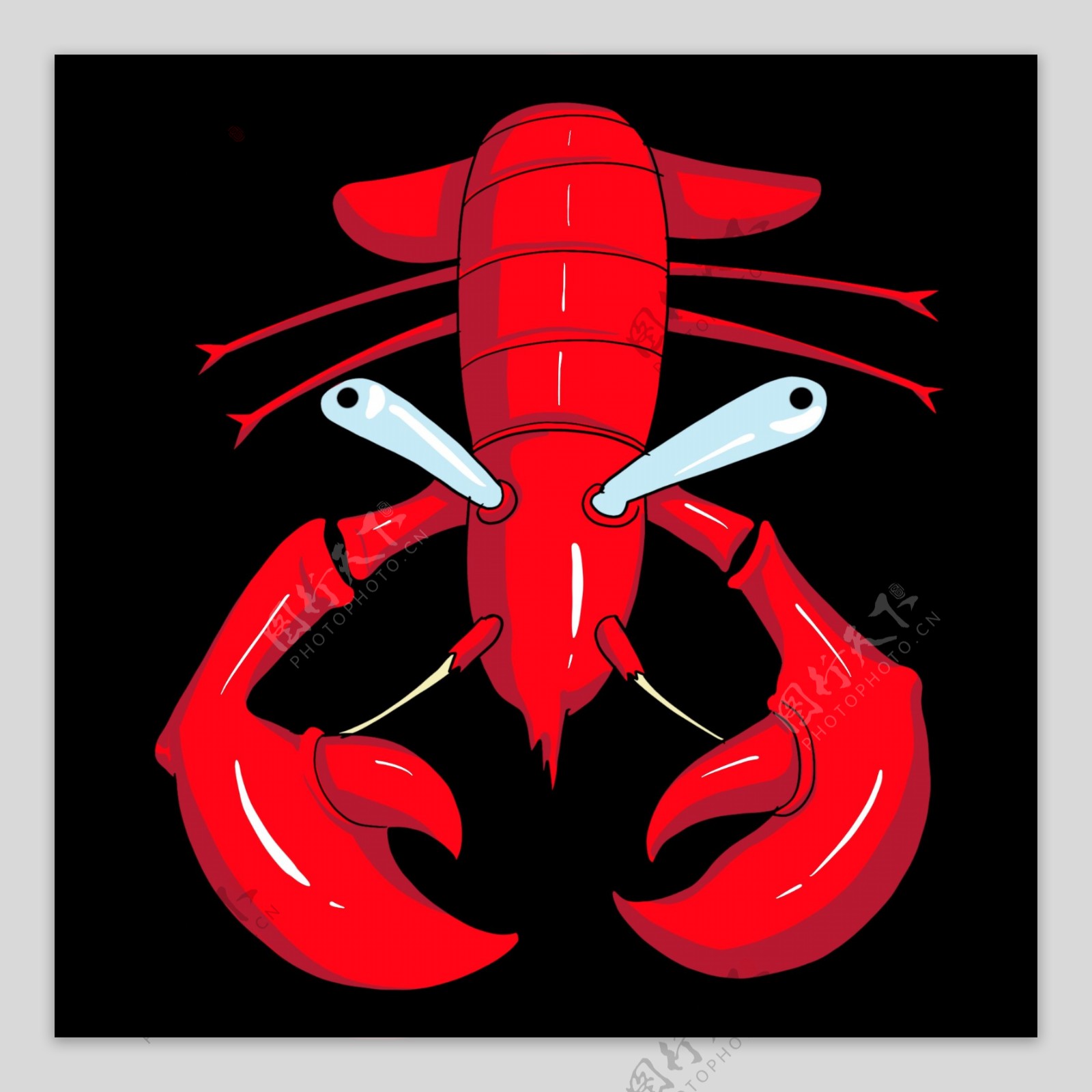 新鲜海鲜龙虾插画