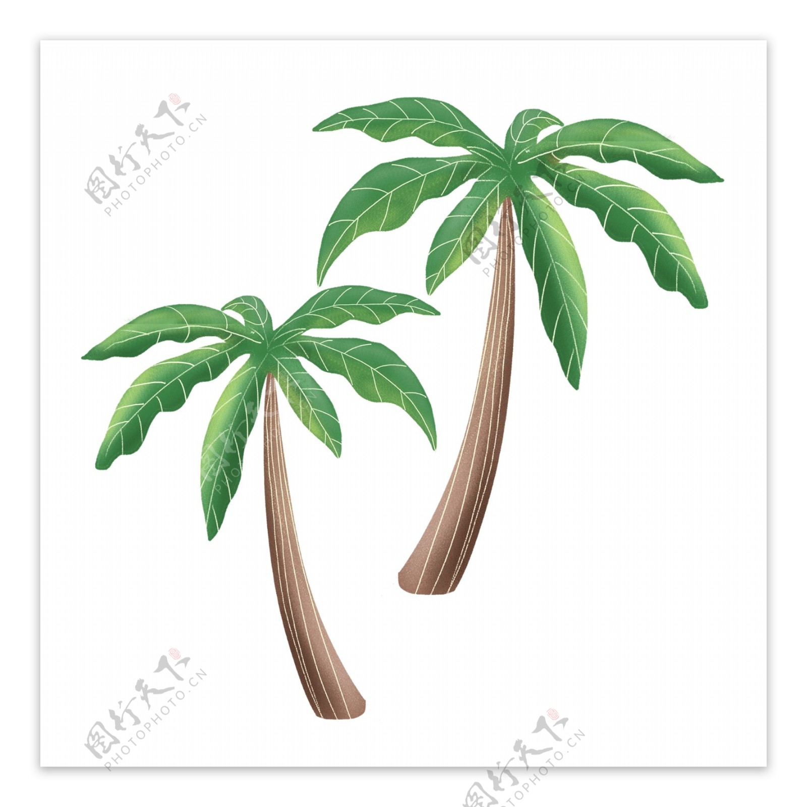 手绘冬季绿色椰子树卡通透明素材