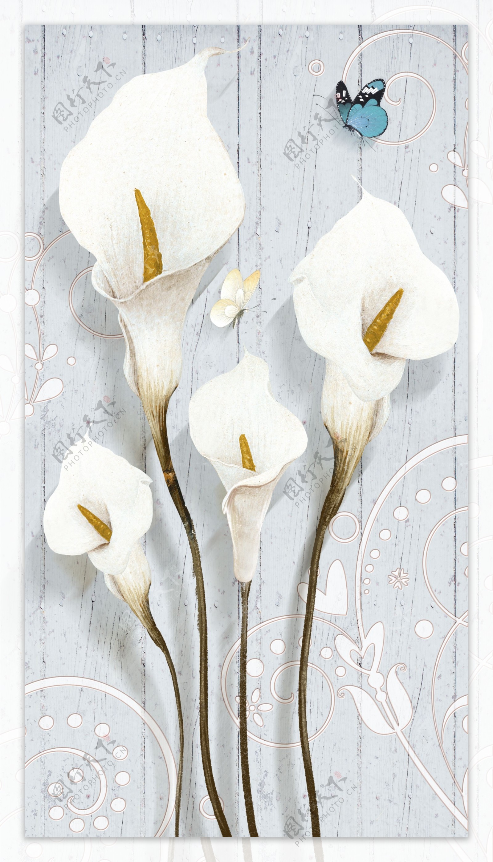 白色花朵马蹄莲玄关背景