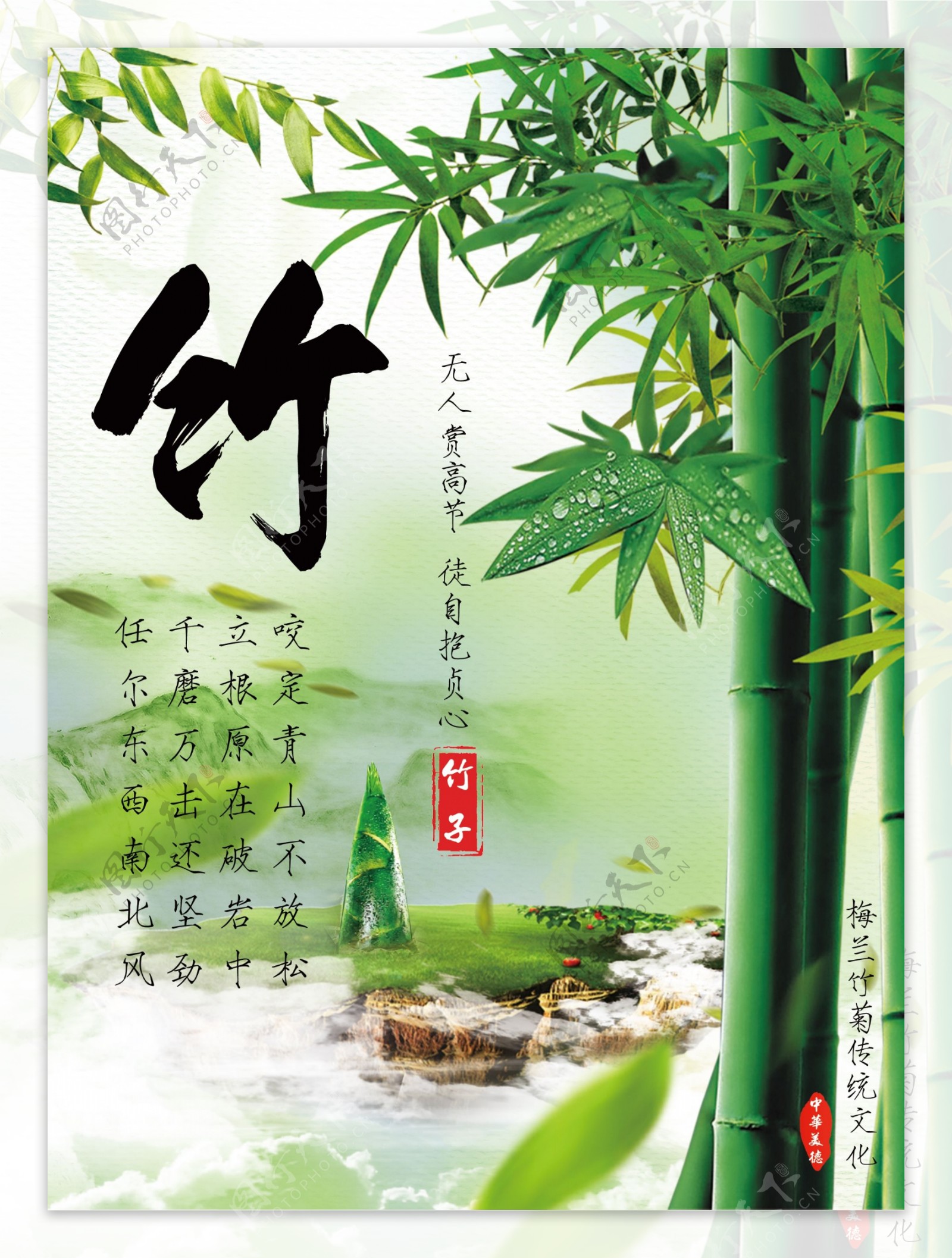 绿色花鸟中国风梅兰竹菊竹子画