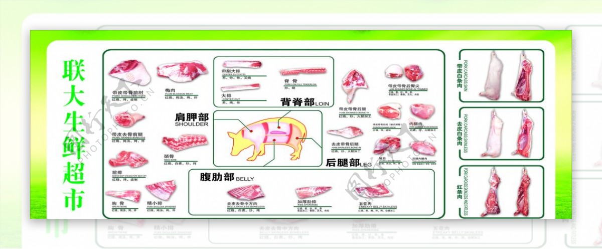 猪肉解剖全图