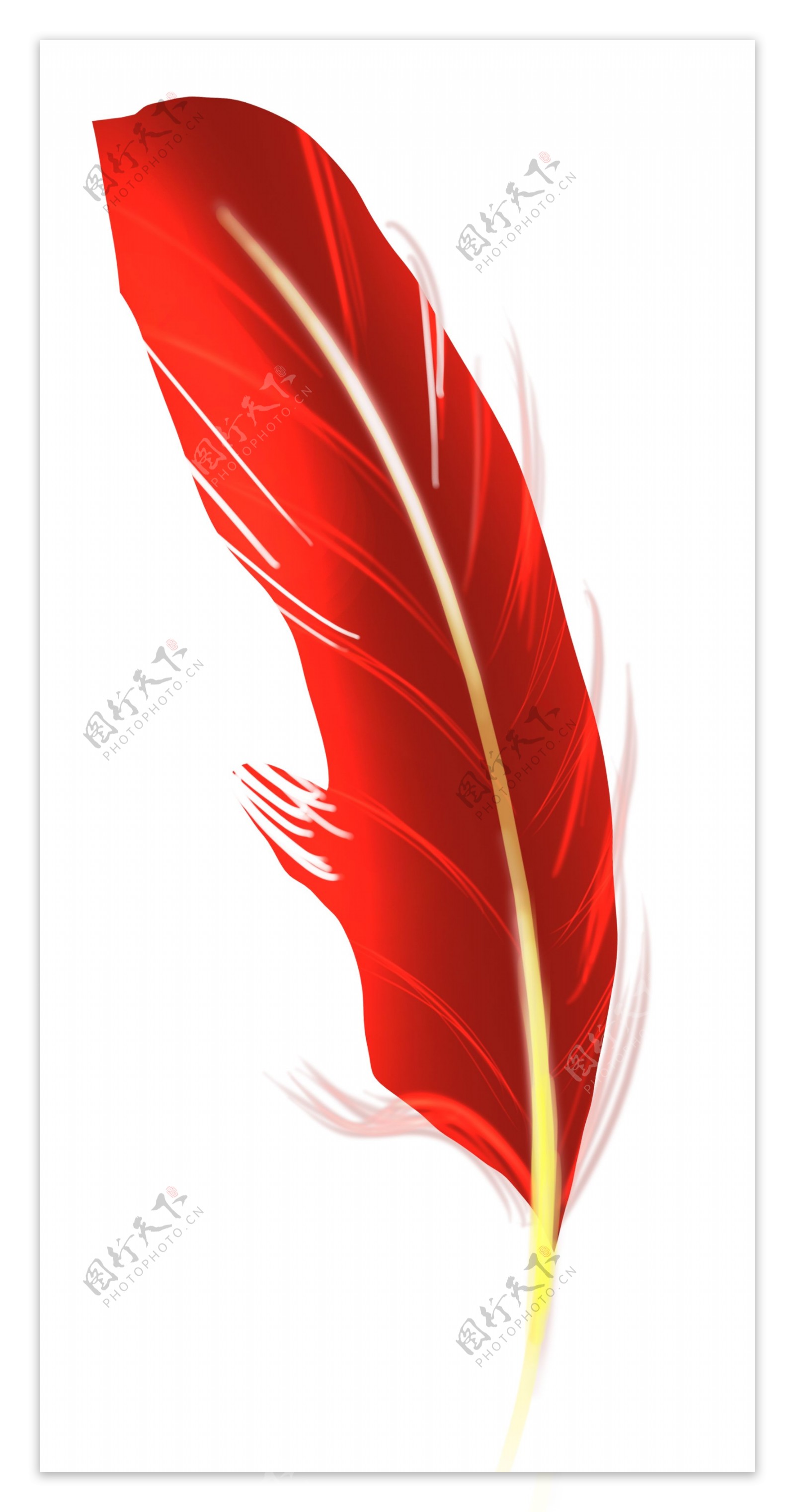 火红色羽毛
