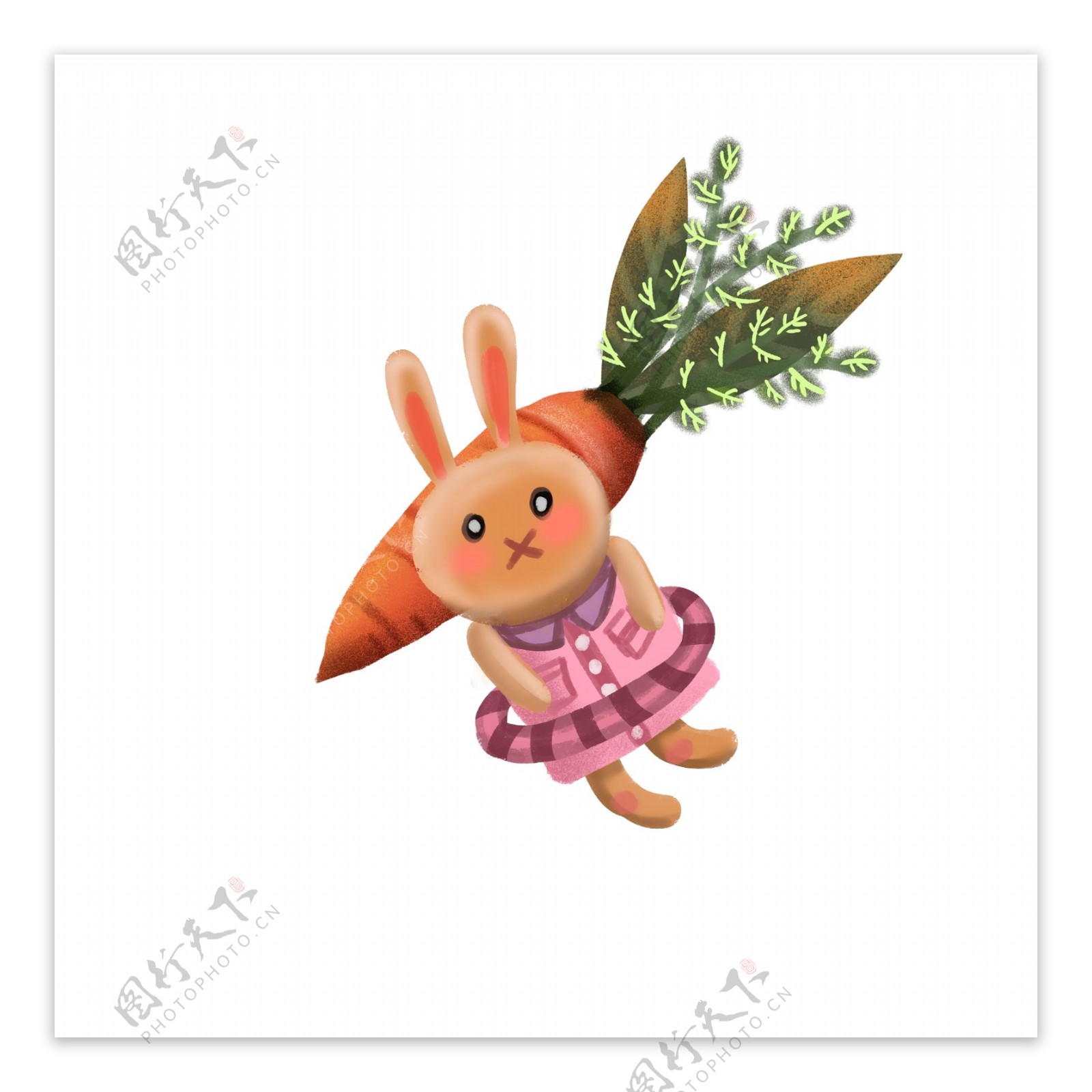 复古肌理兔子和胡萝卜
