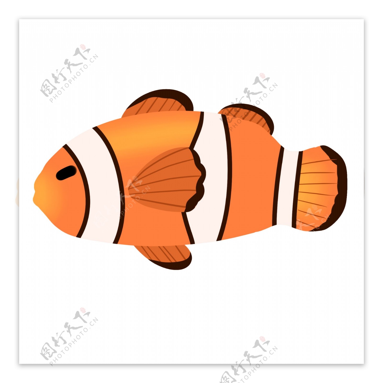 海洋生物小丑鱼