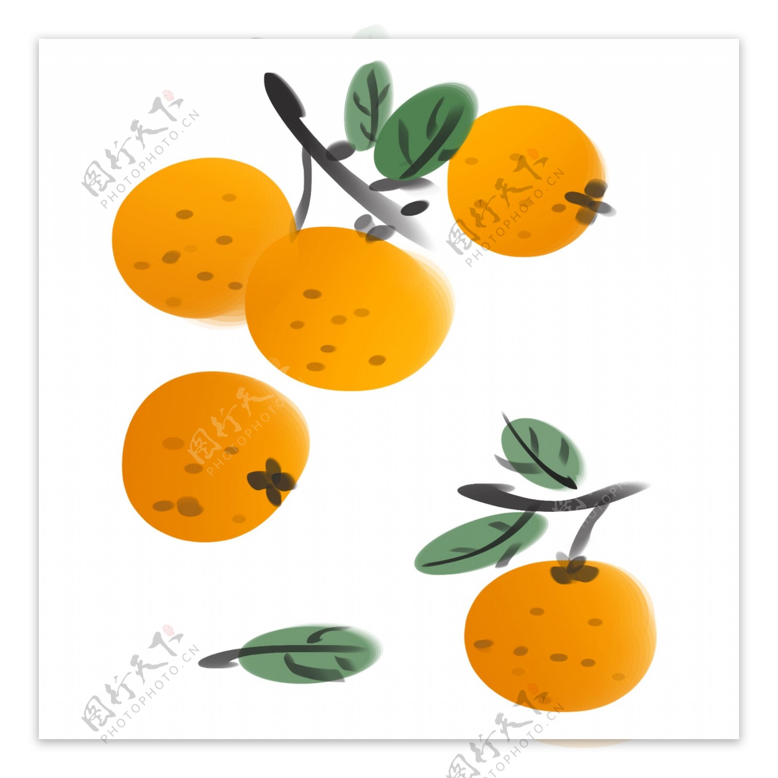 水墨画橘子
