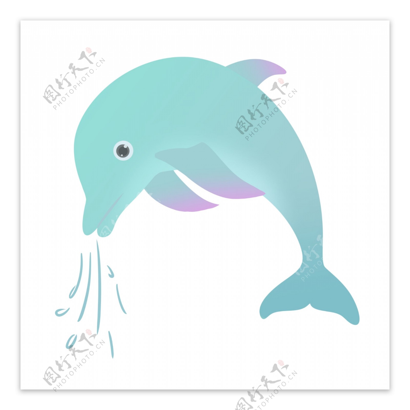 吐泡海豚动物