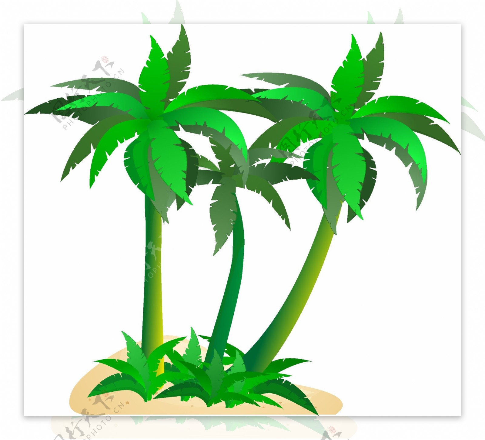 绿色的椰汁树