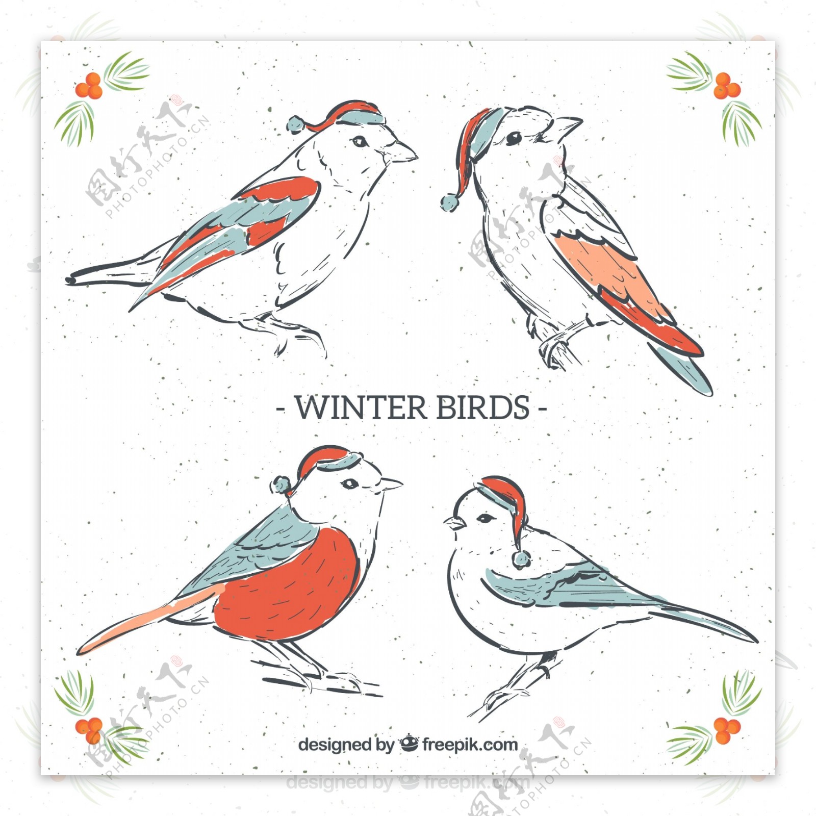 4款彩绘冬季圣诞鸟类