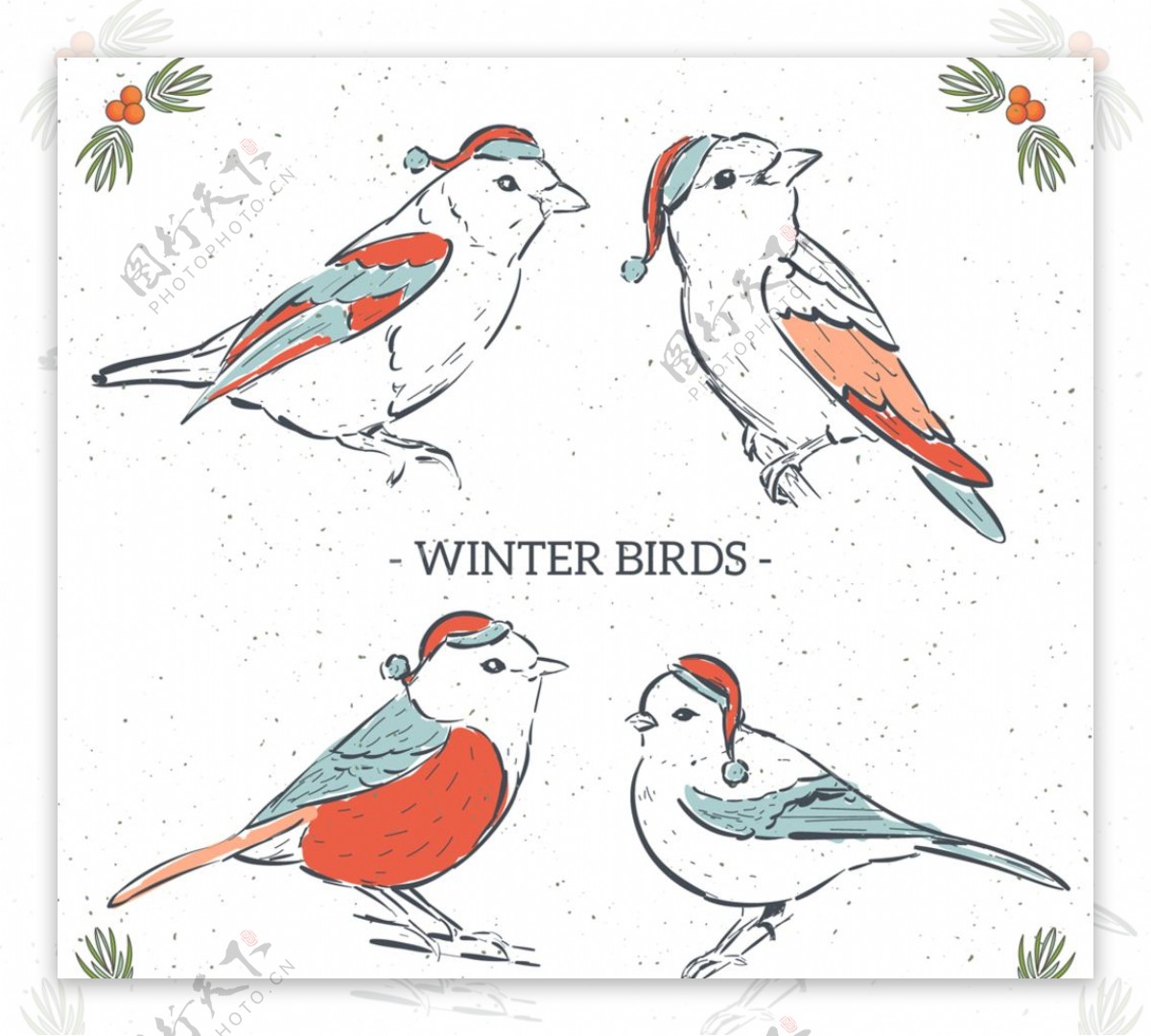 4款彩绘冬季鸟类矢量素材