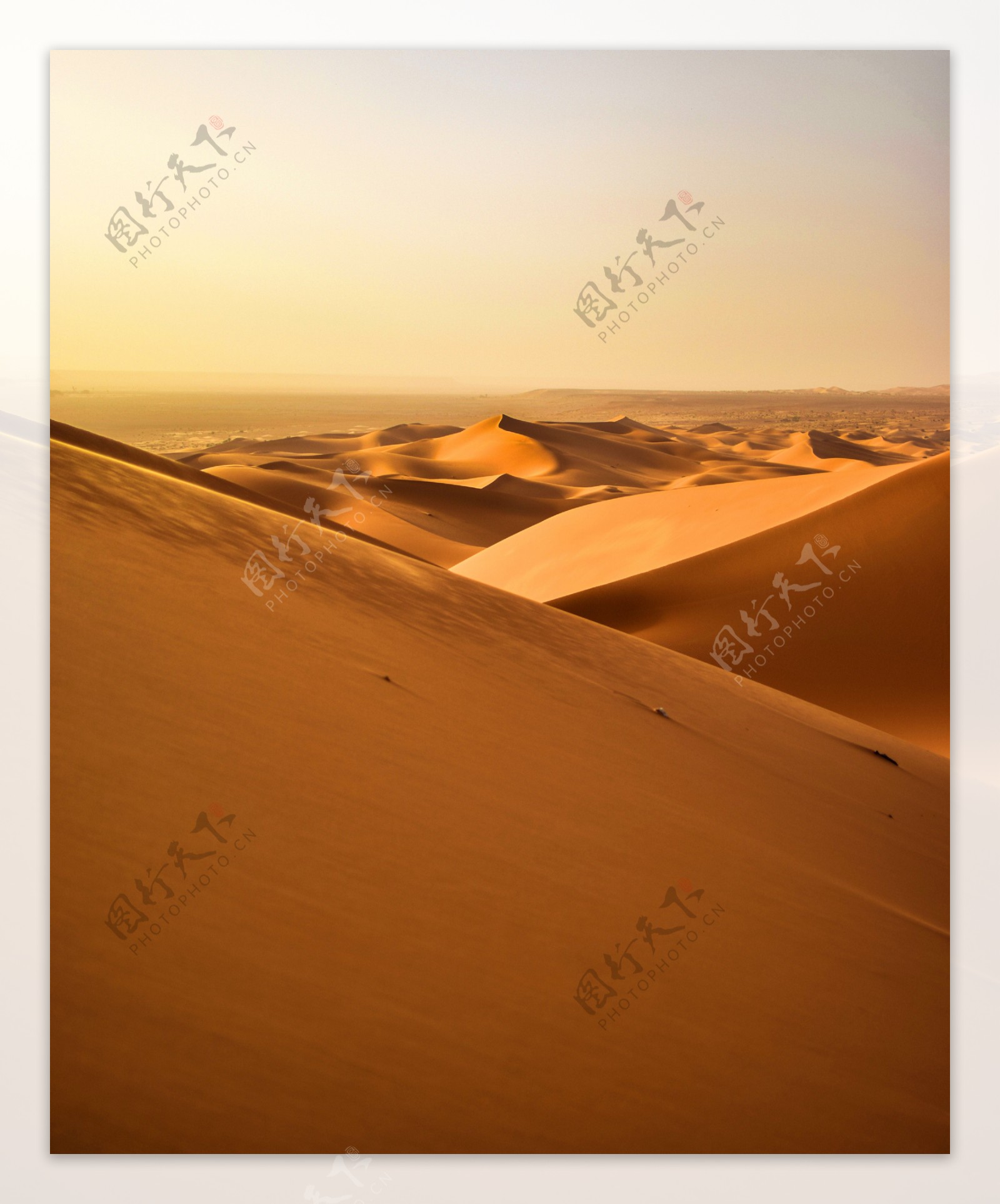 唯美夕阳下沙漠风景图片素材-编号26367253-图行天下