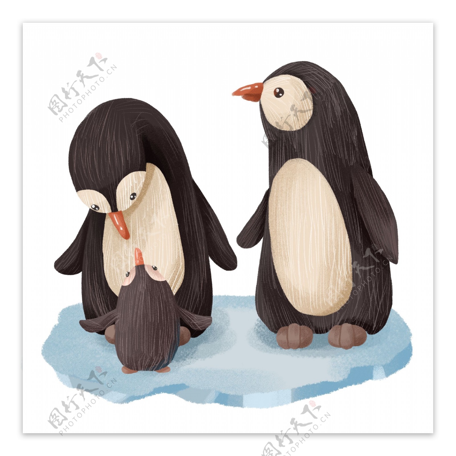 手绘卡通企鹅一家可爱南极动物