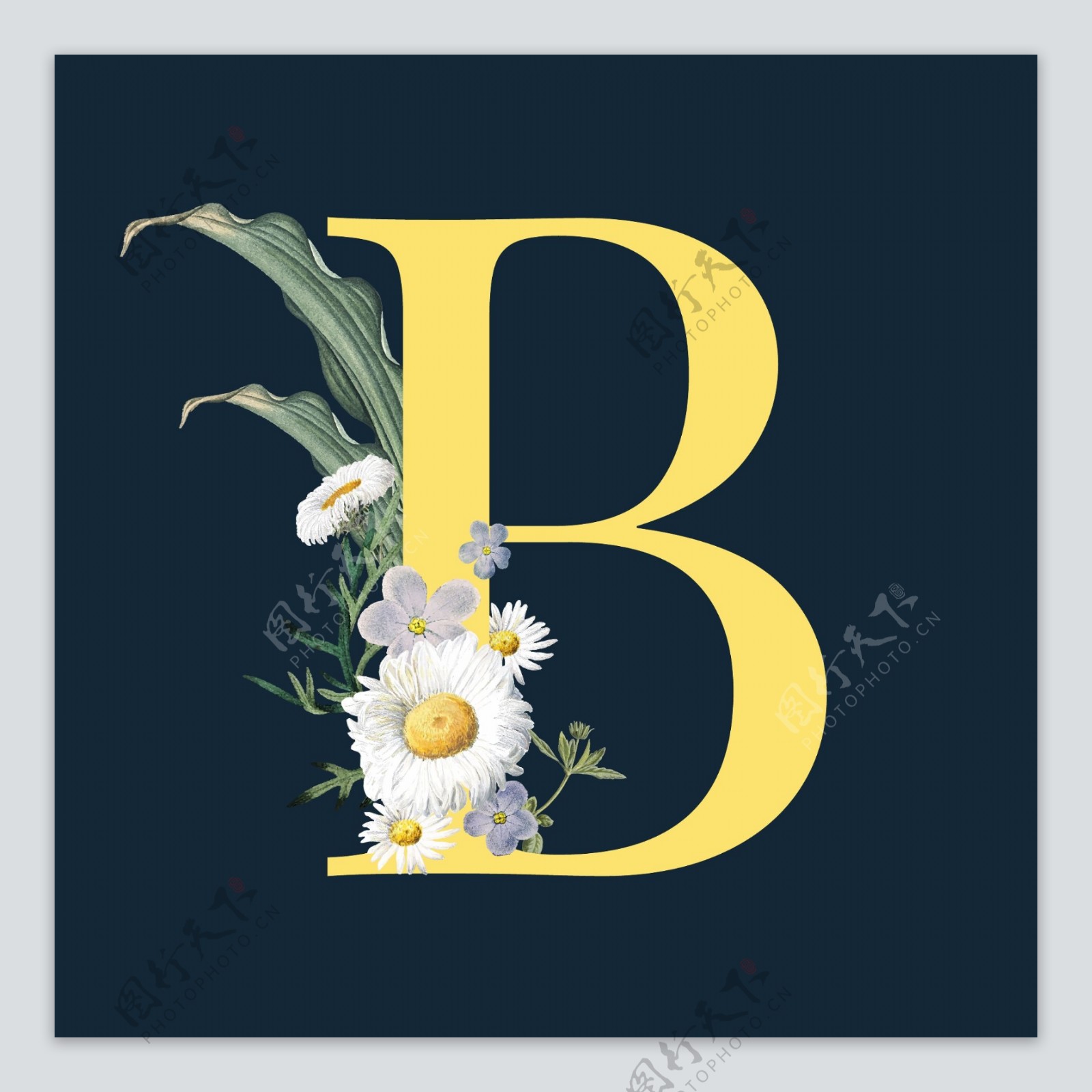 字母与花朵