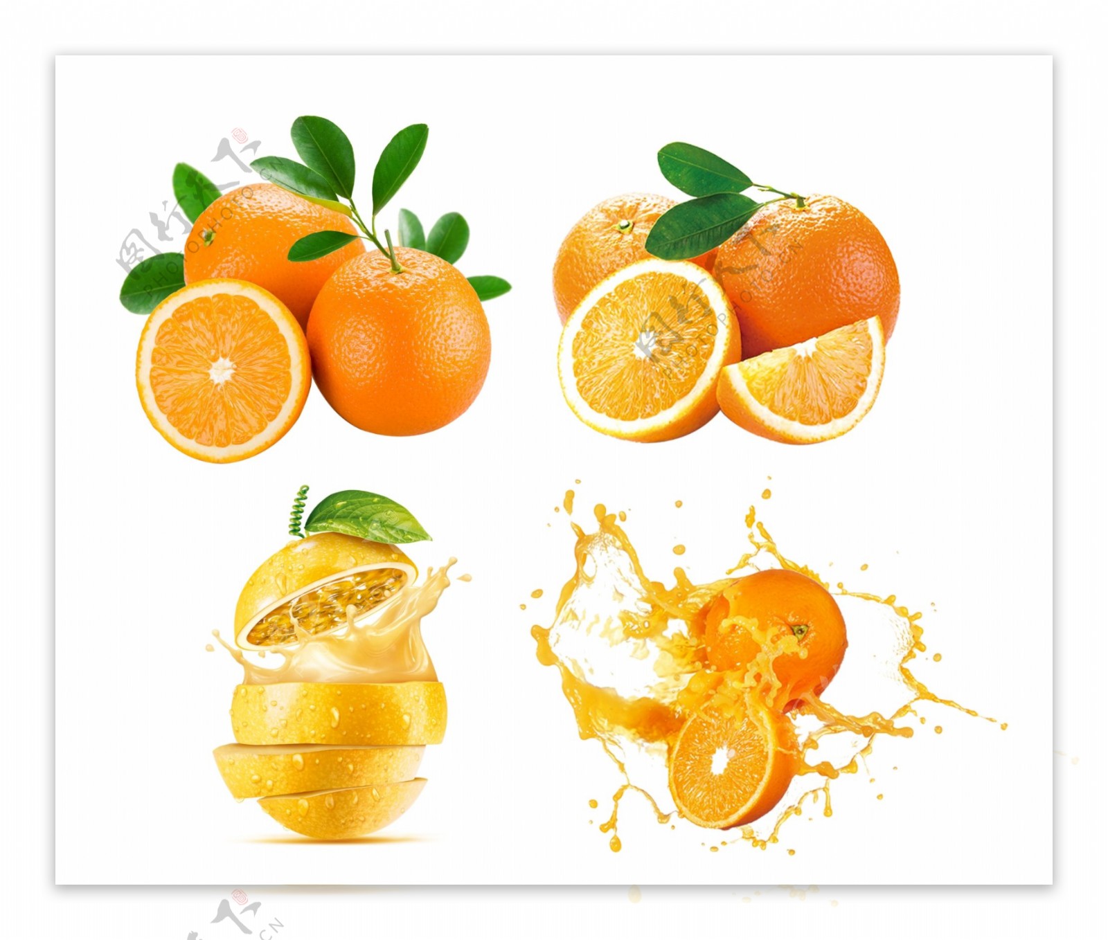 橙子大全