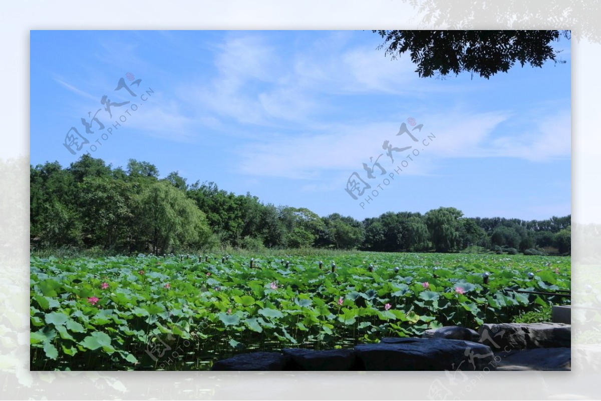 圆明园风景