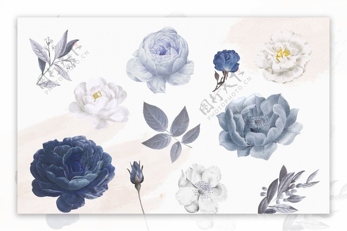 手绘水彩蓝玫瑰花卉插画