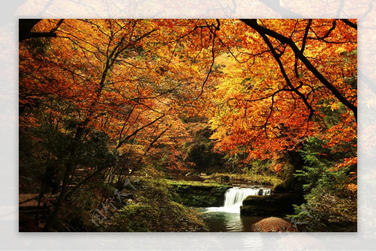 黎坪景区