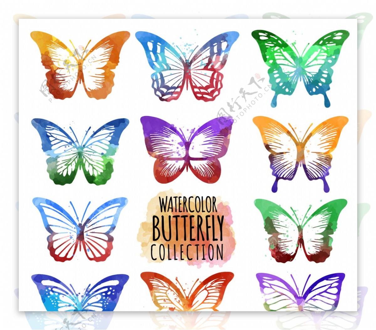 可爱的多色装饰蝴蝶