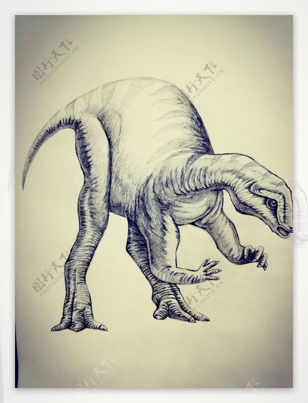 素描恐龙复古手绘