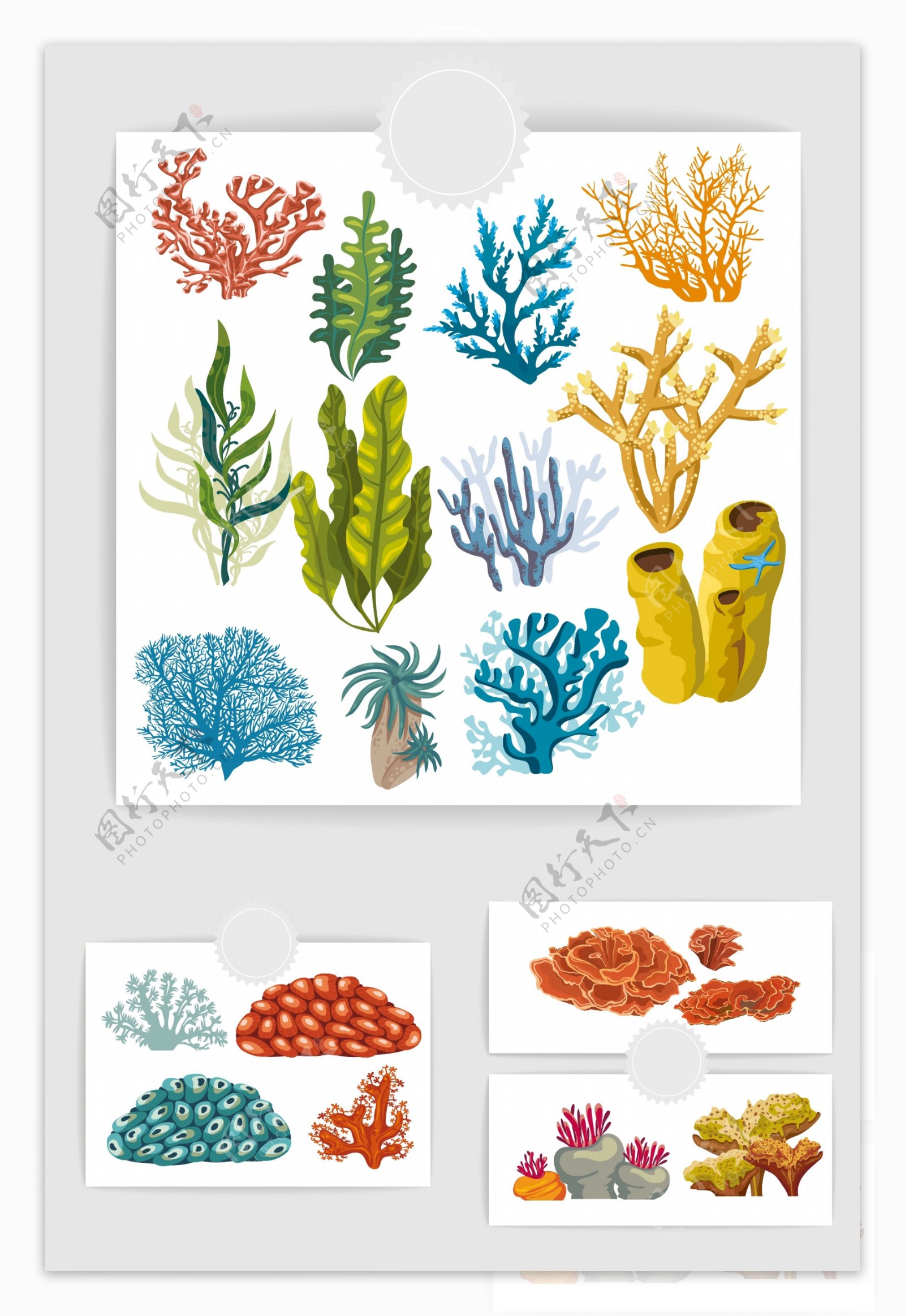 海洋植物