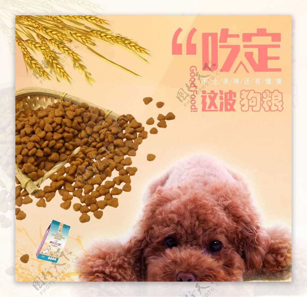 泰迪专用犬粮