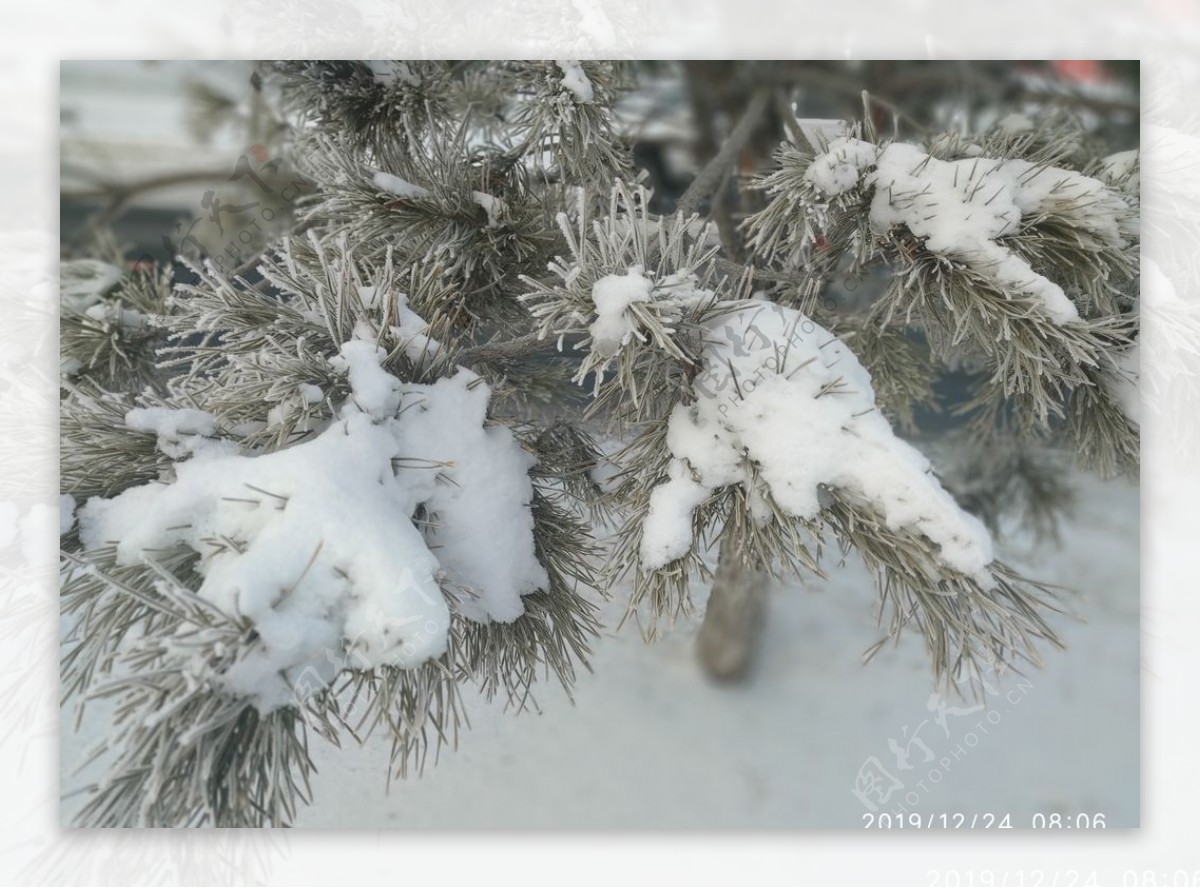 树挂雪地东北冬天