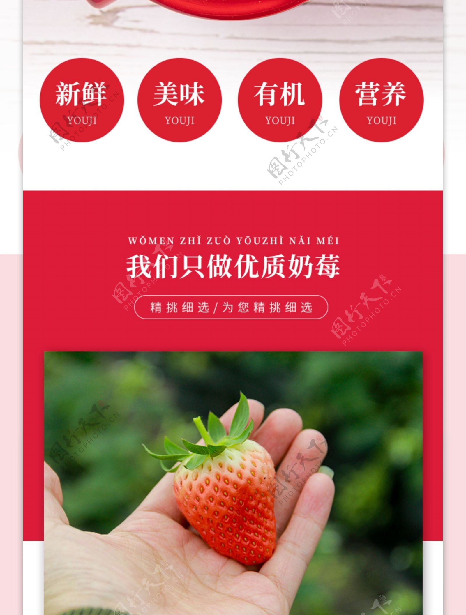 电商淘宝水果红颜奶油草莓详情页