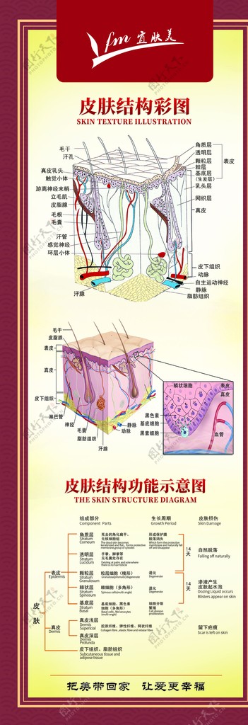 宜肤美皮肤