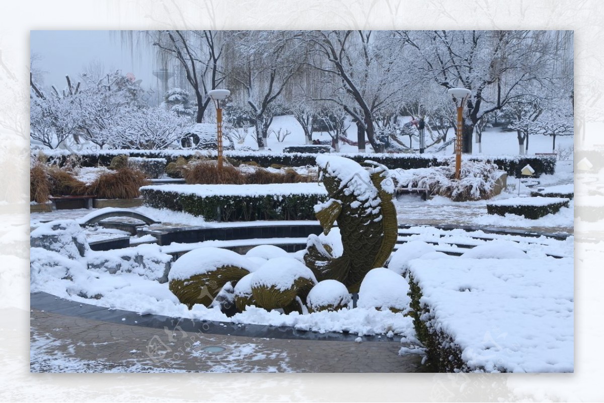 冬雪地景